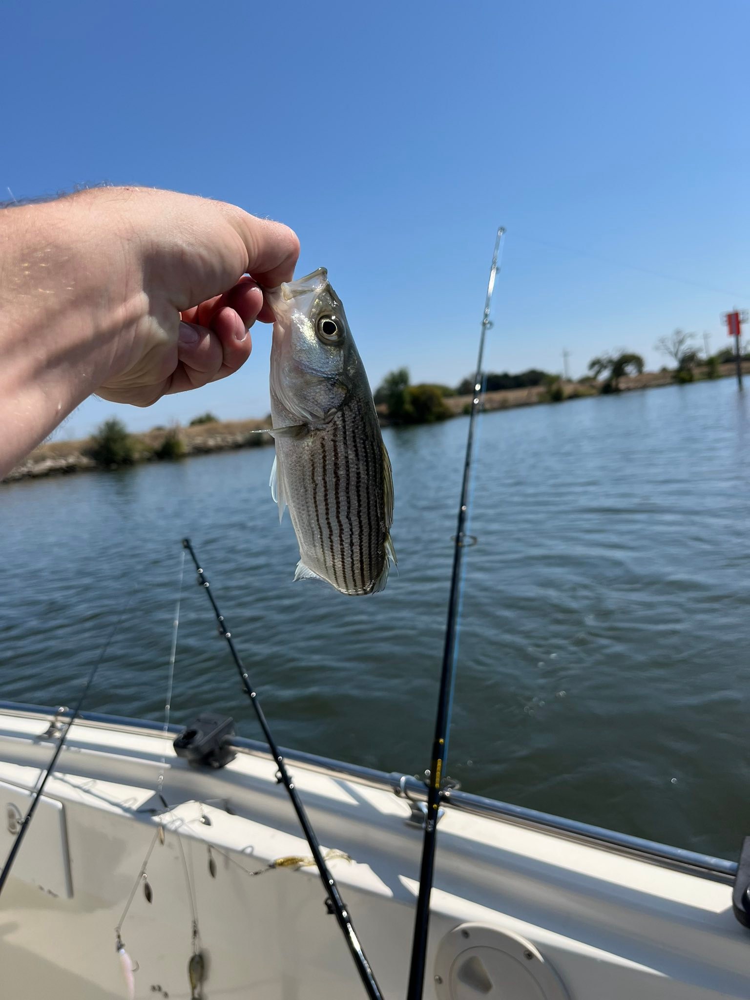 best length fishing pole for catching striper Catch More Fish Spinning Kit  ensuring anglers are prepared for their next fishing adventure. Best Tackle for Striped Bass: