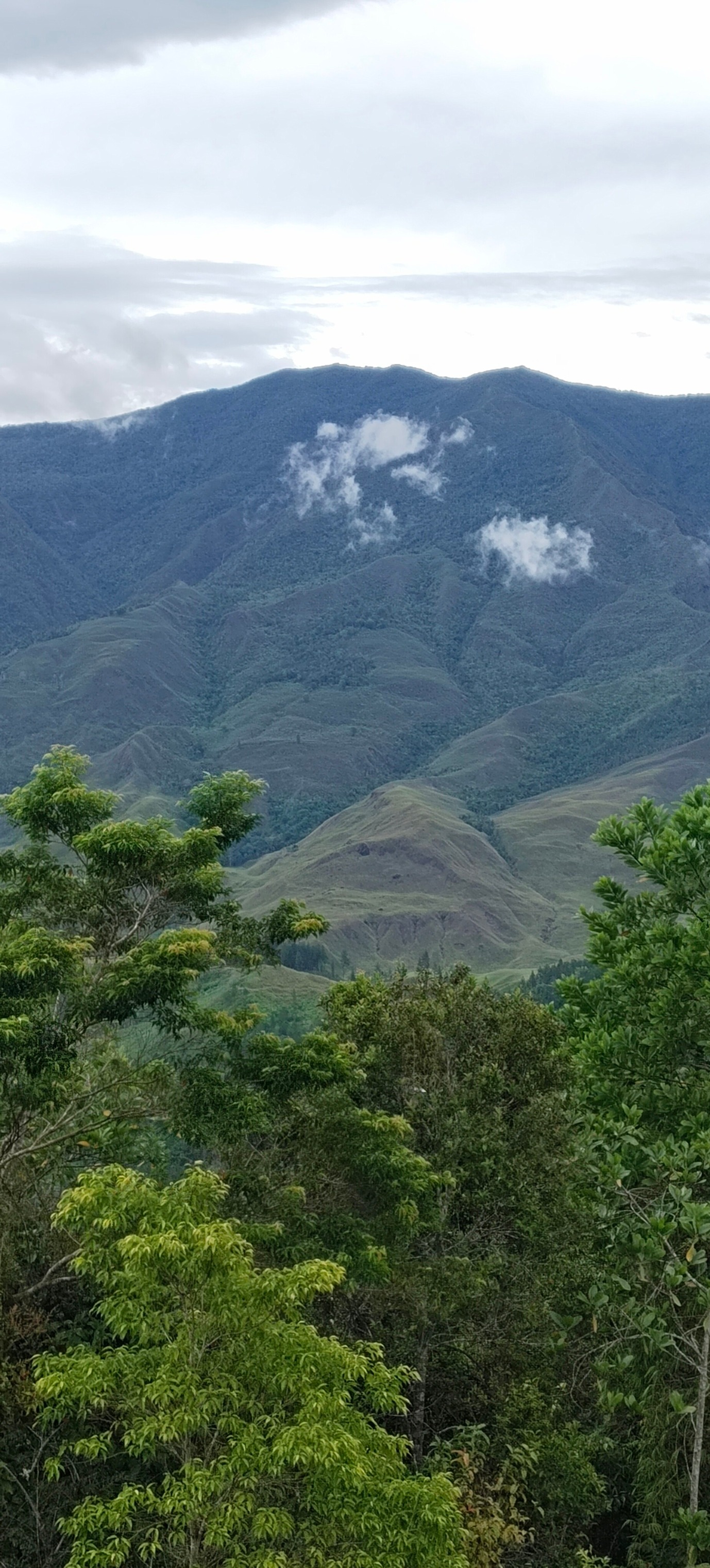 Bukidnon Highlander... - Bukidnon Highlander Adventures