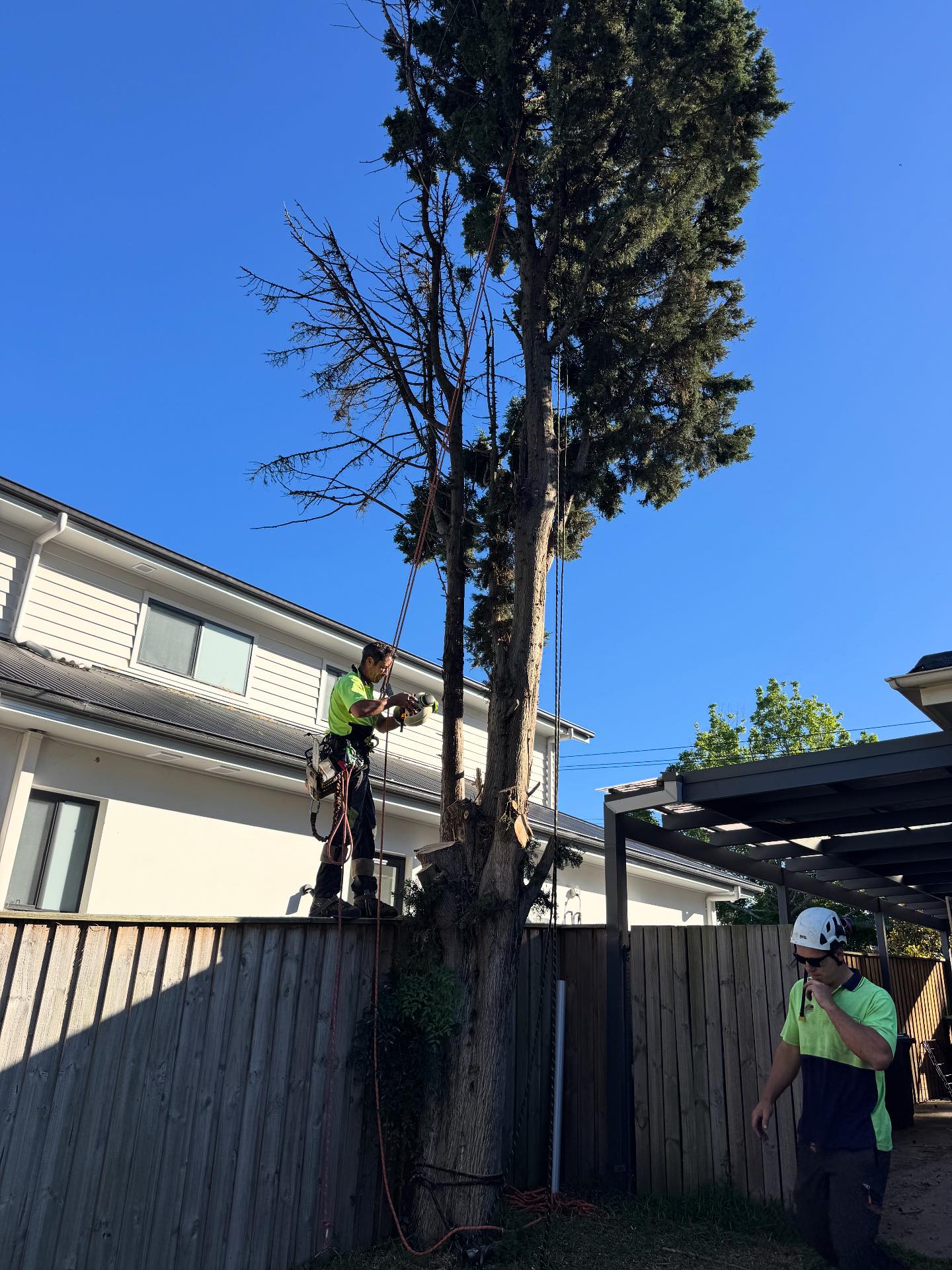 Ideal tree services 0418293951