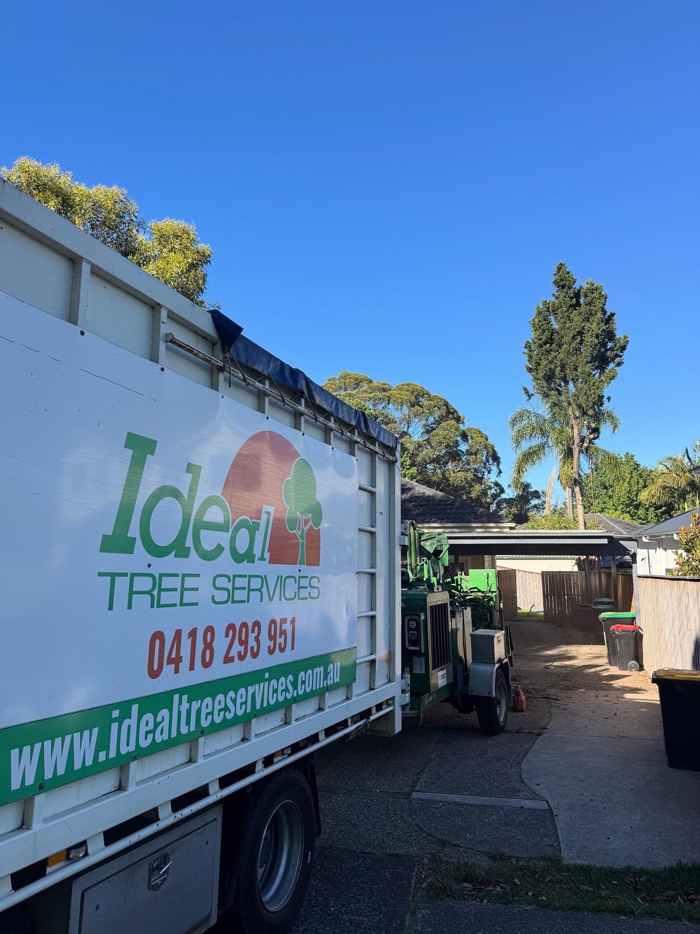 Ideal tree services 0418293951