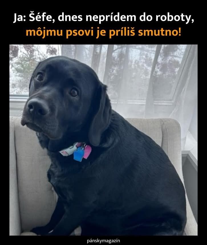 Norbert Rigo Inštalatérske prace -Voda Kúrenie Plyn Kanalizacia ...