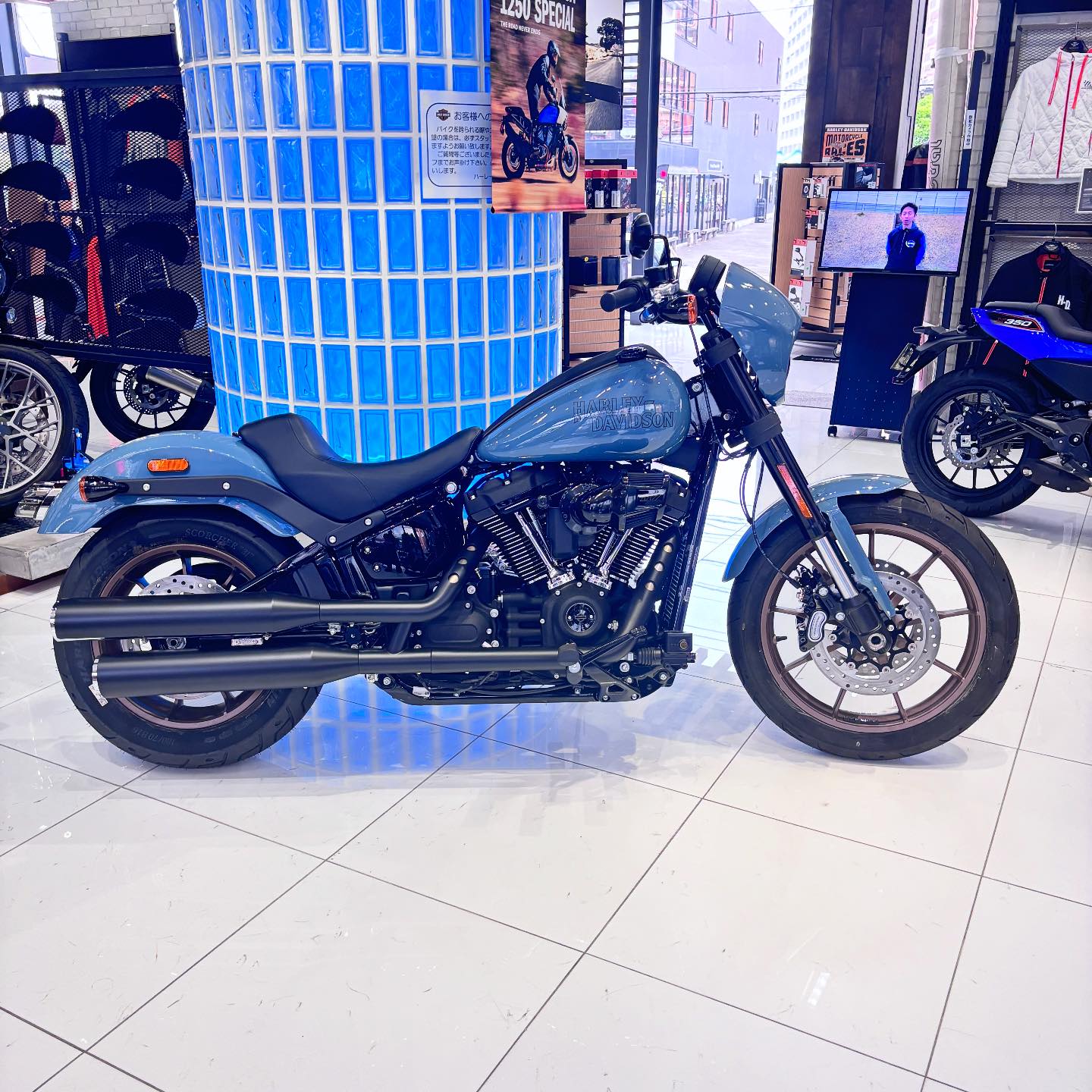 2024 ローライダーSのシャークスキンブルー🔥 当店ラスト1台の展示車