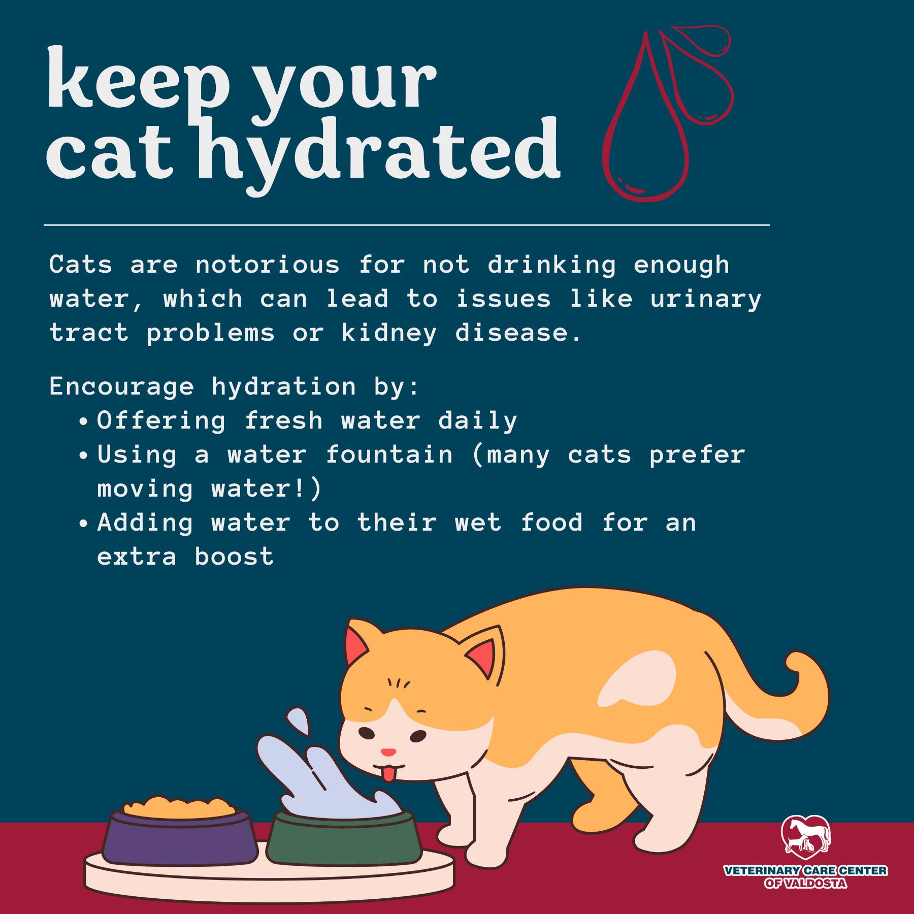 Thumbnail for Cat Uti Prevention Through Hydration