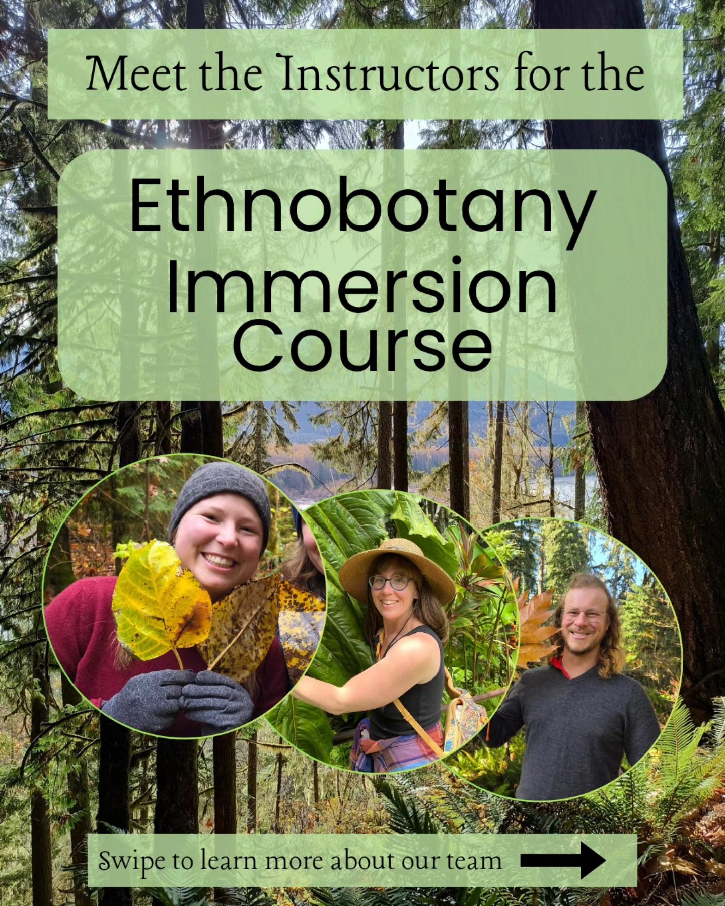 Meet the instructors of... - Raven's Roots Naturalist School | Facebook