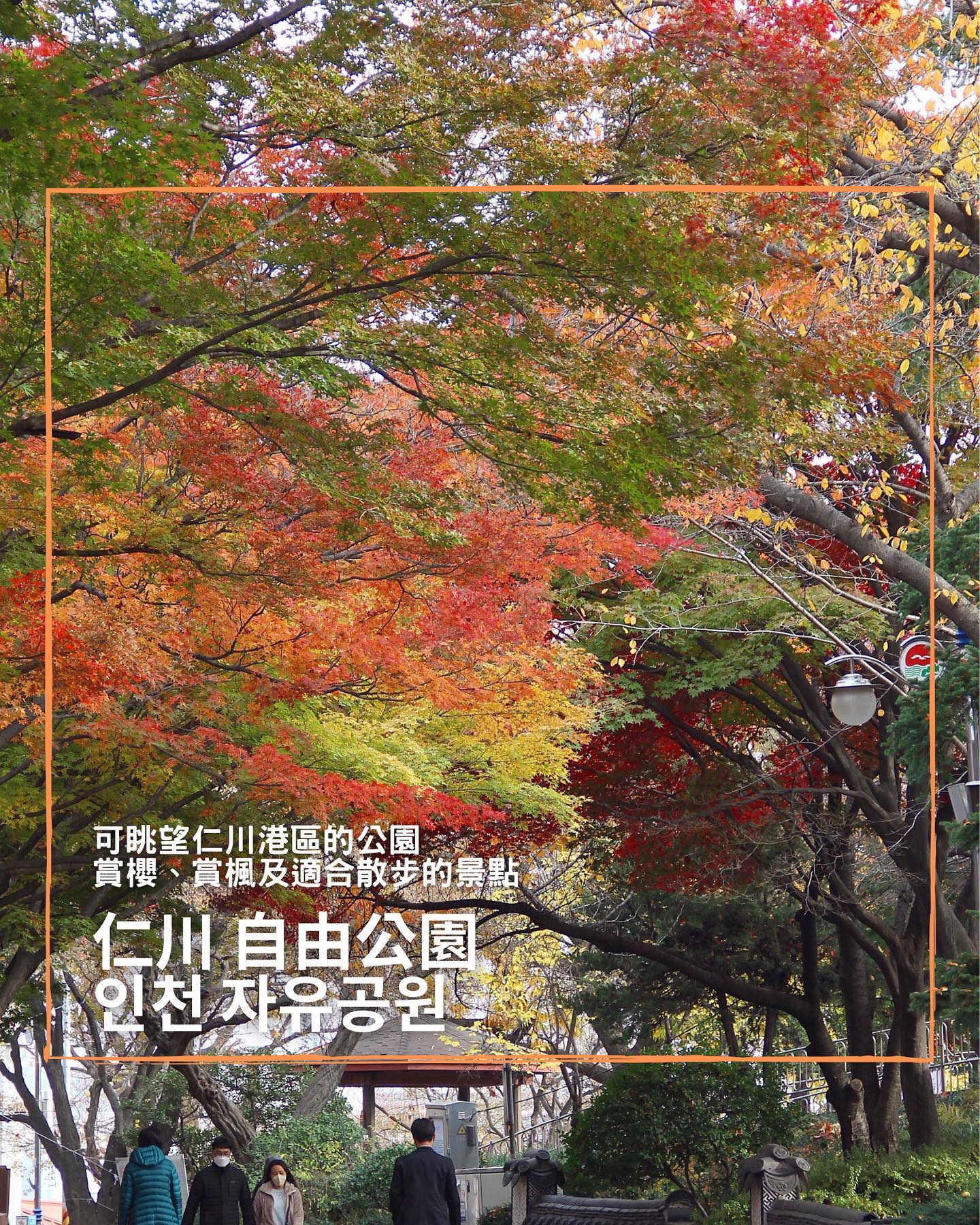 台灣安姨的韓國安居日常 대만 이모앤의 한국 life
