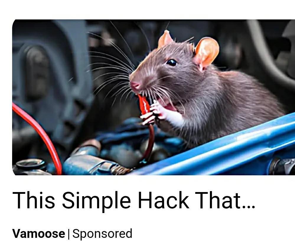 Angry - That hack: Save £$€ by teaching rats to service your car. With ...