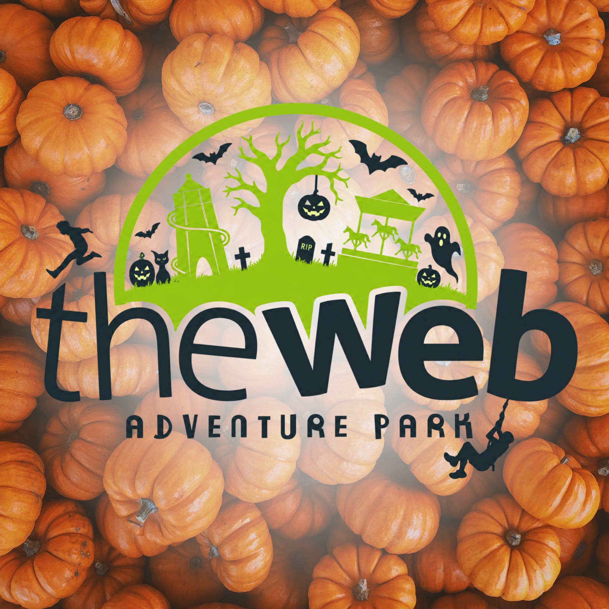 🎄 CHRISTMAS EVENTS AT THE WEB... - Web Adventure Park | Facebook