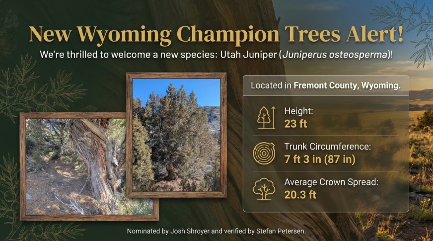 Wyoming - 🌲New Champ Tree Alert🌳 We’re thrilled to welcome a new ...