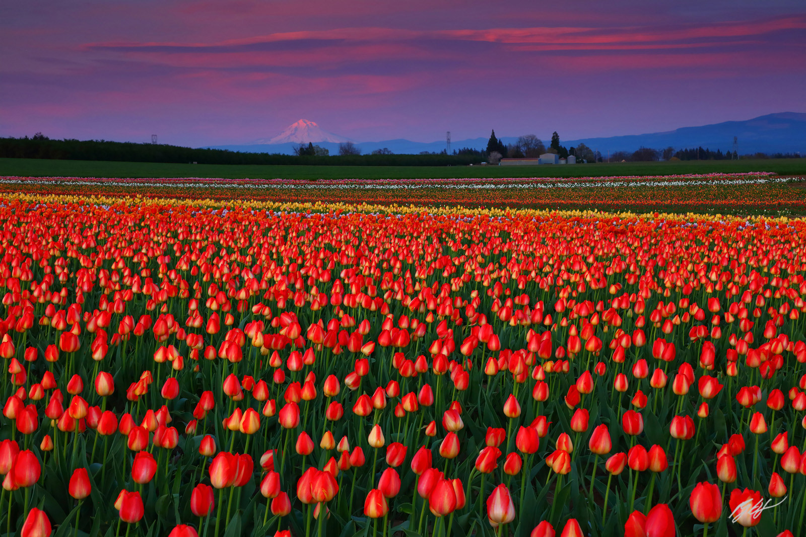 It isn't a true Oregon spring without a little bit of rain and