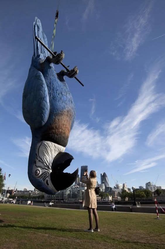 Monty Python chocolate dead parrots can on display