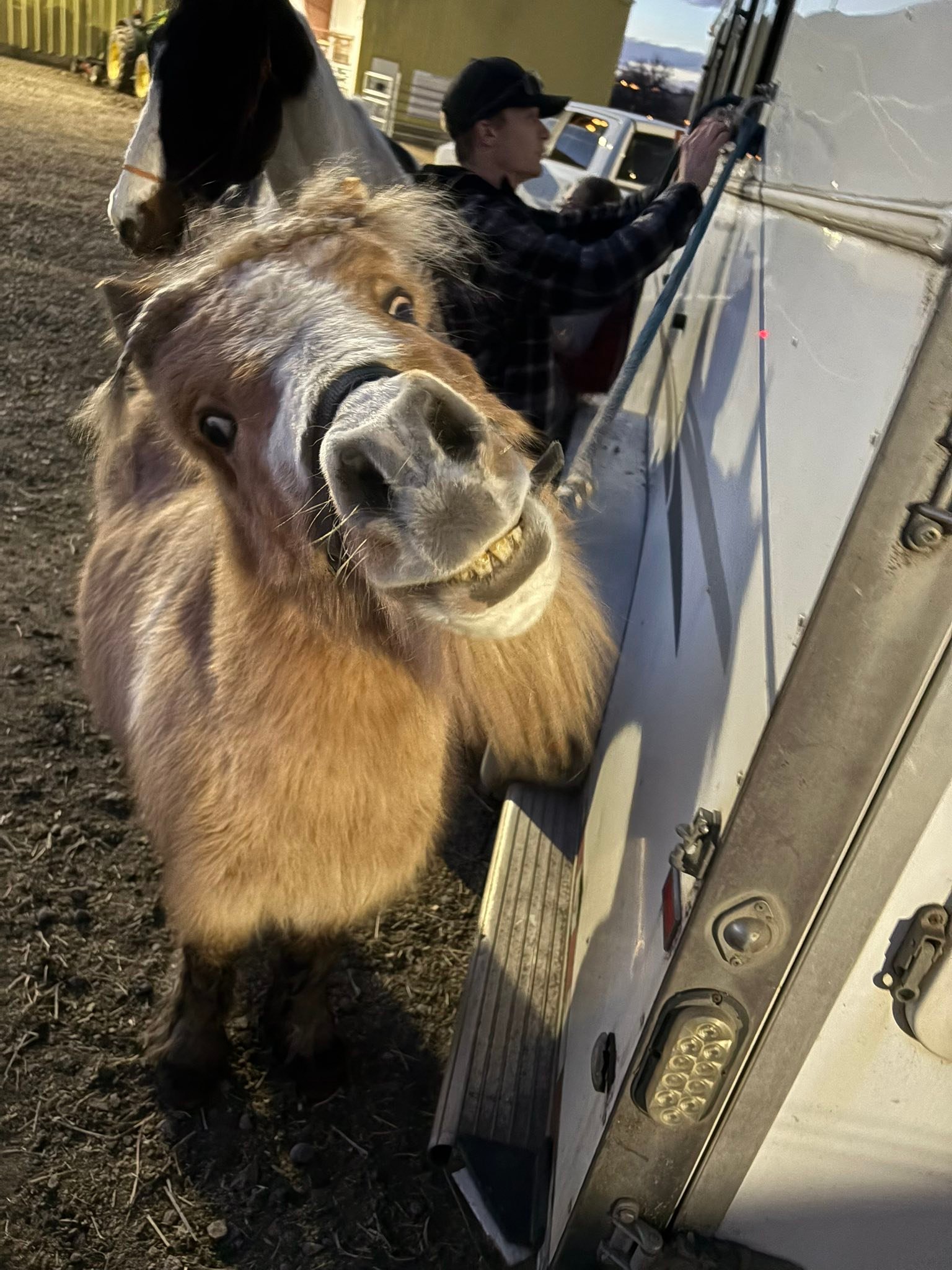 LCSC Rodeo & Riding Club | Lewiston ID