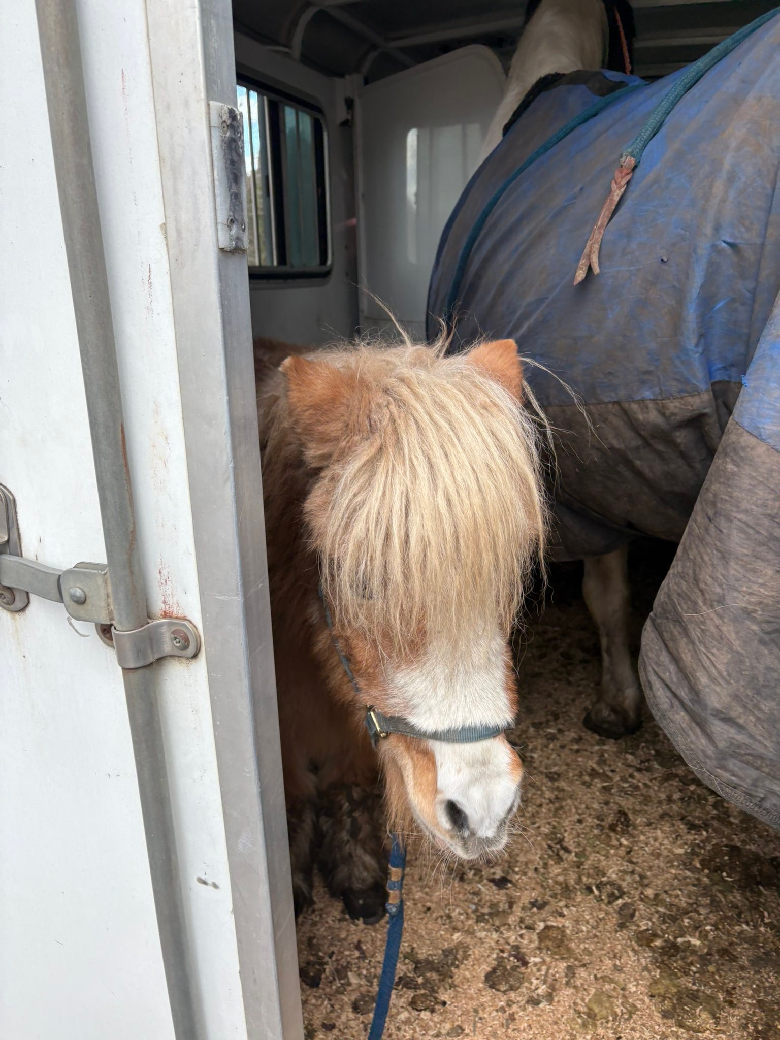 LCSC Rodeo & Riding Club | Lewiston ID