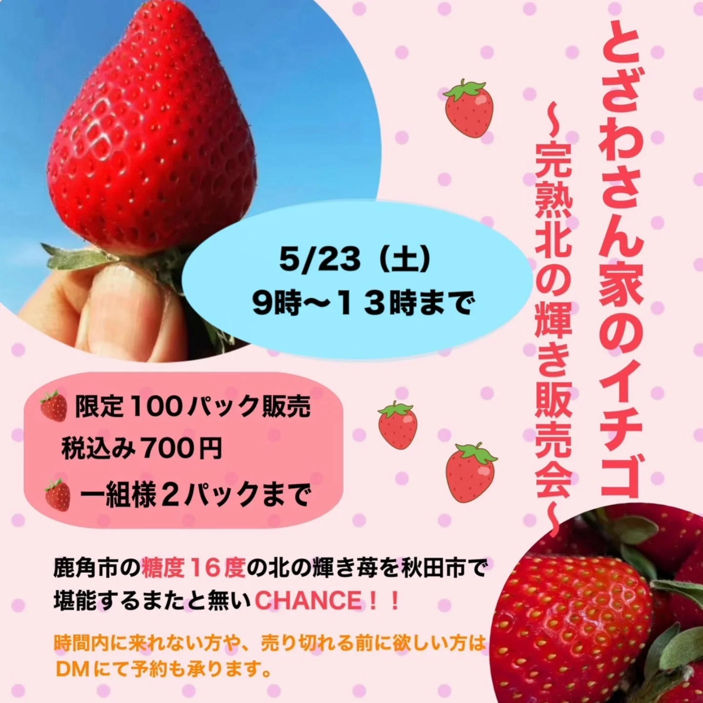 いちごバスケット120 いちごバスケット120 いちごバスケット 画像