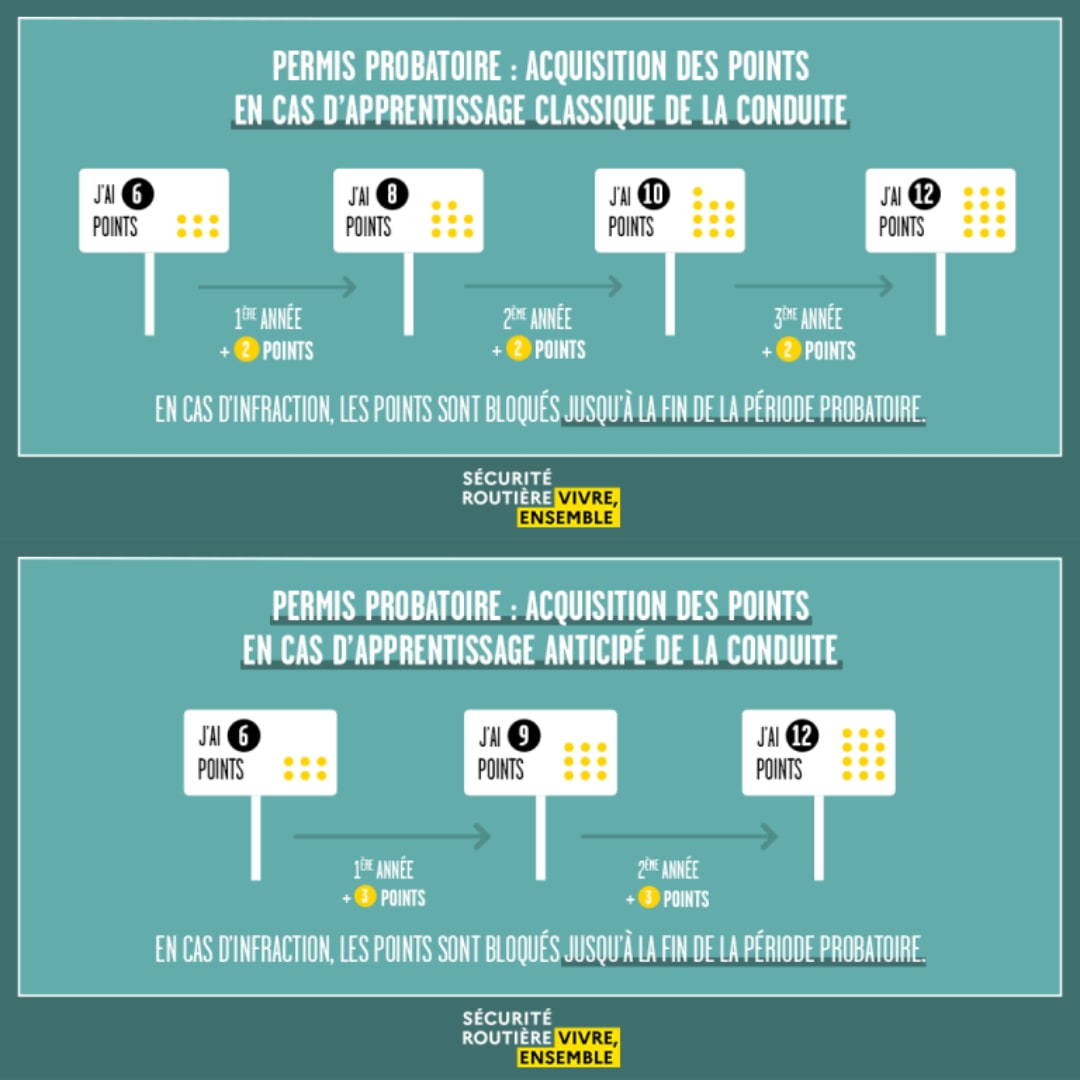 Auto-Ecole - 🎯 “Tu viens d’avoir ton permis ? N’oublie pas : tu starts ...