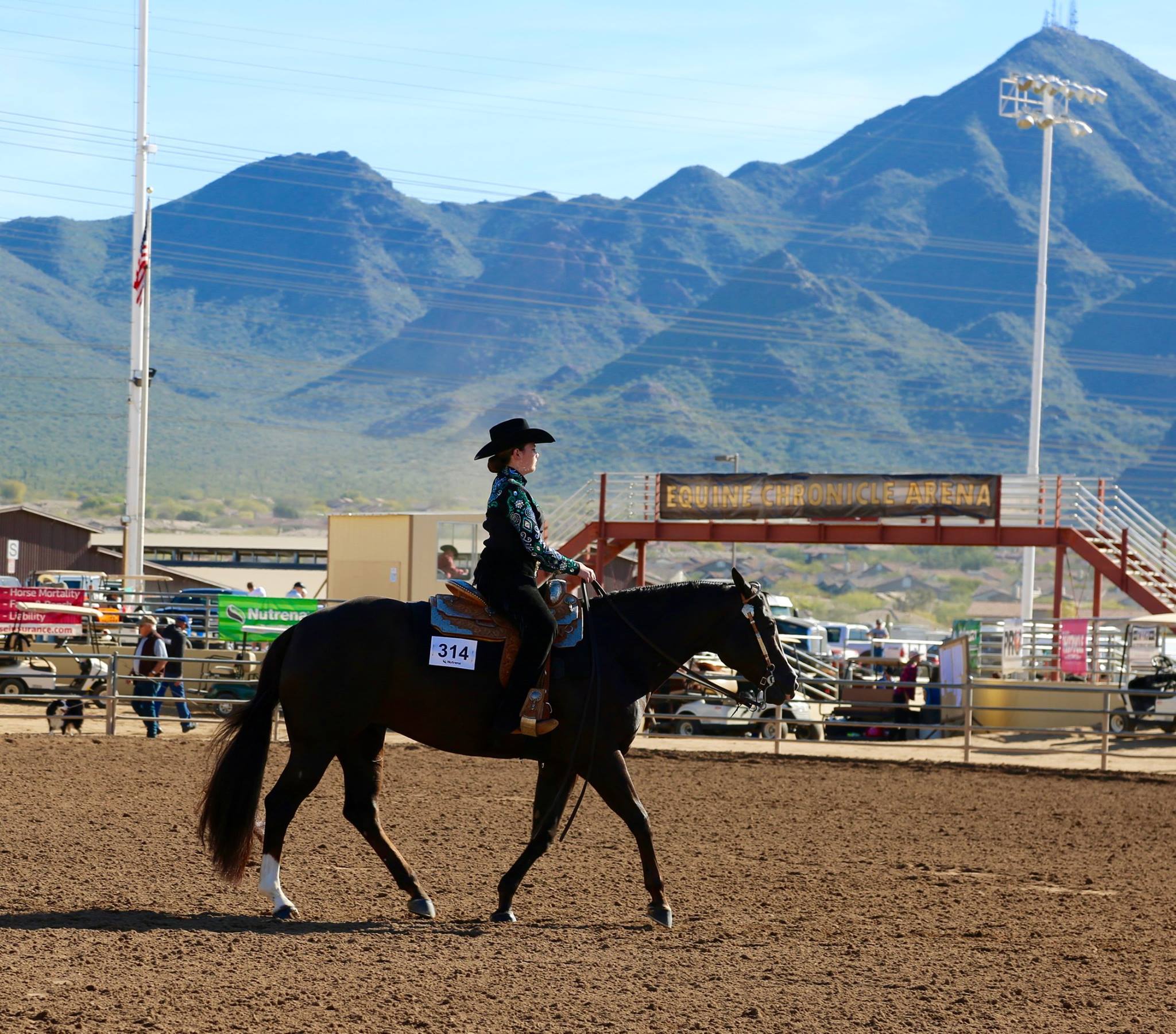 TQHYA RIDER OF THE... - Texas Quarter Horse Youth Association