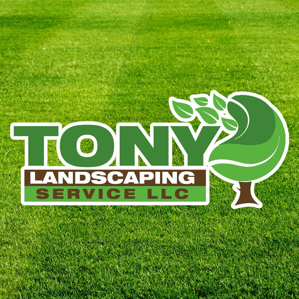 Tony Landscaping Service... - Tony Landscaping Service LLC