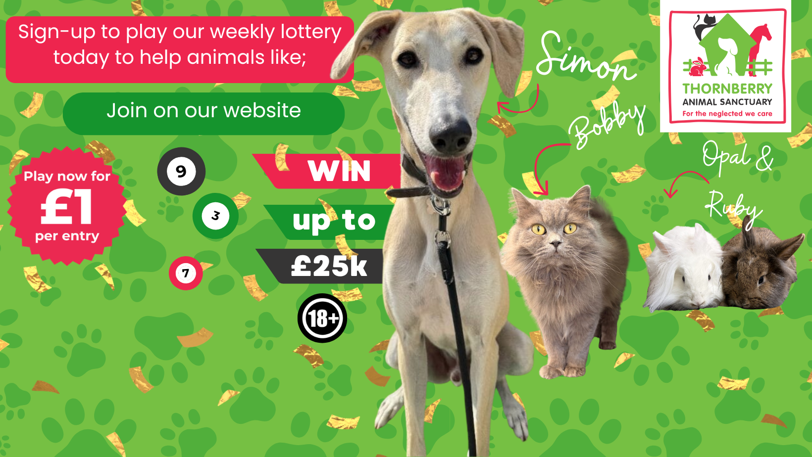 RSPCA Sheffield Shelter added a... - RSPCA Sheffield Shelter