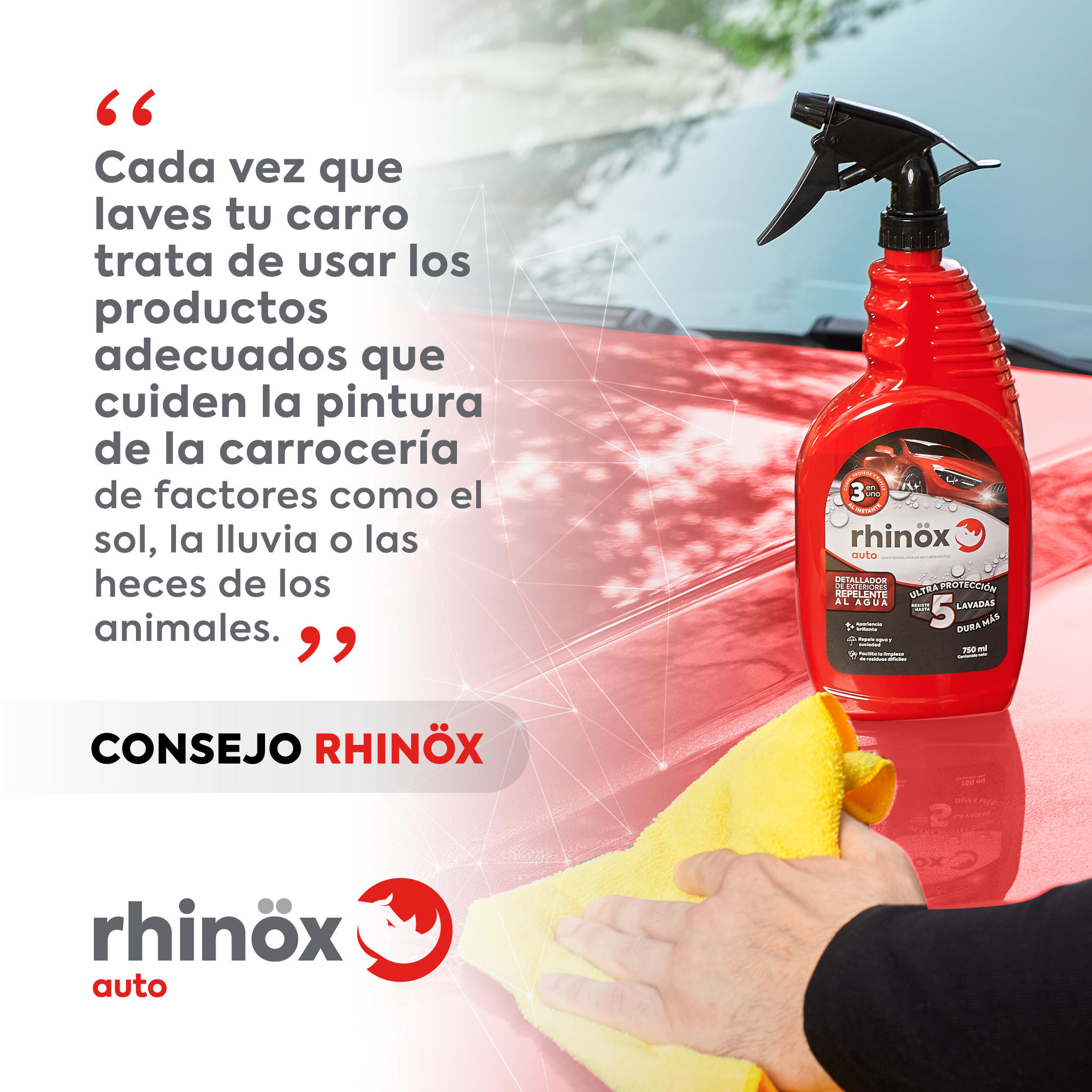 Rhinöx Auto