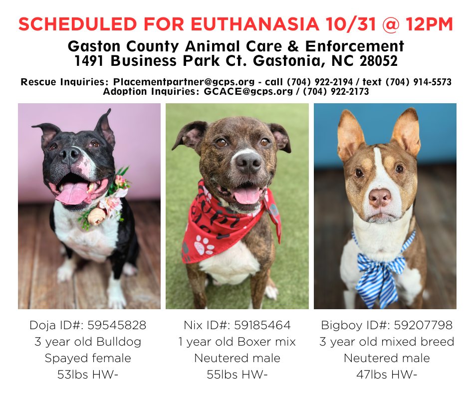 GCACE - UPDATE AS OF 10/30 @ 4:15PM - DOJA AND BIGBOY ARE STILL IN NEED ...
