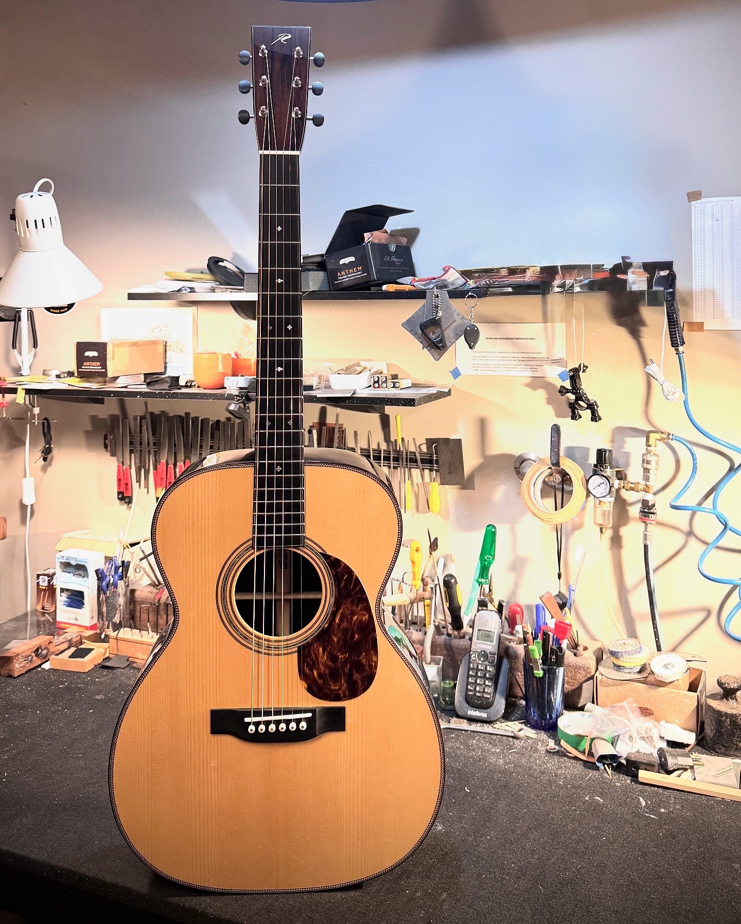 Max Rosa Guitars