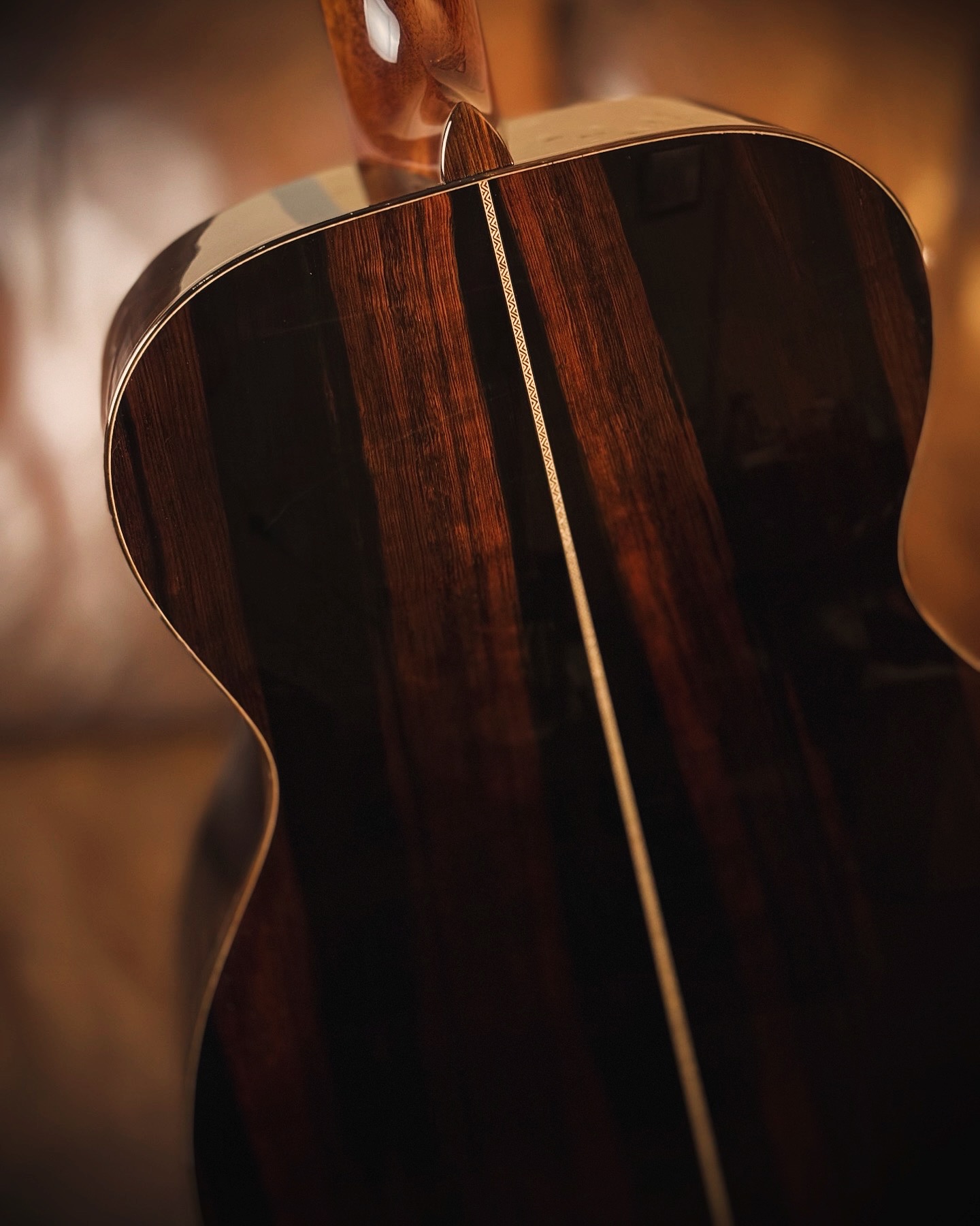 Max Rosa Guitars