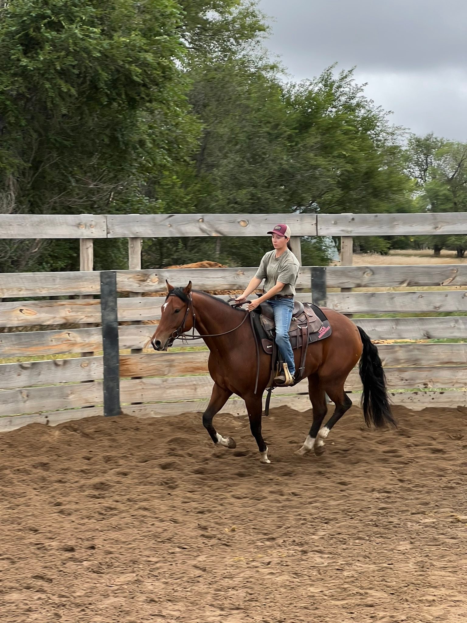 CCLR -... - CCLR - Christene’s Center Line Riders - LLC