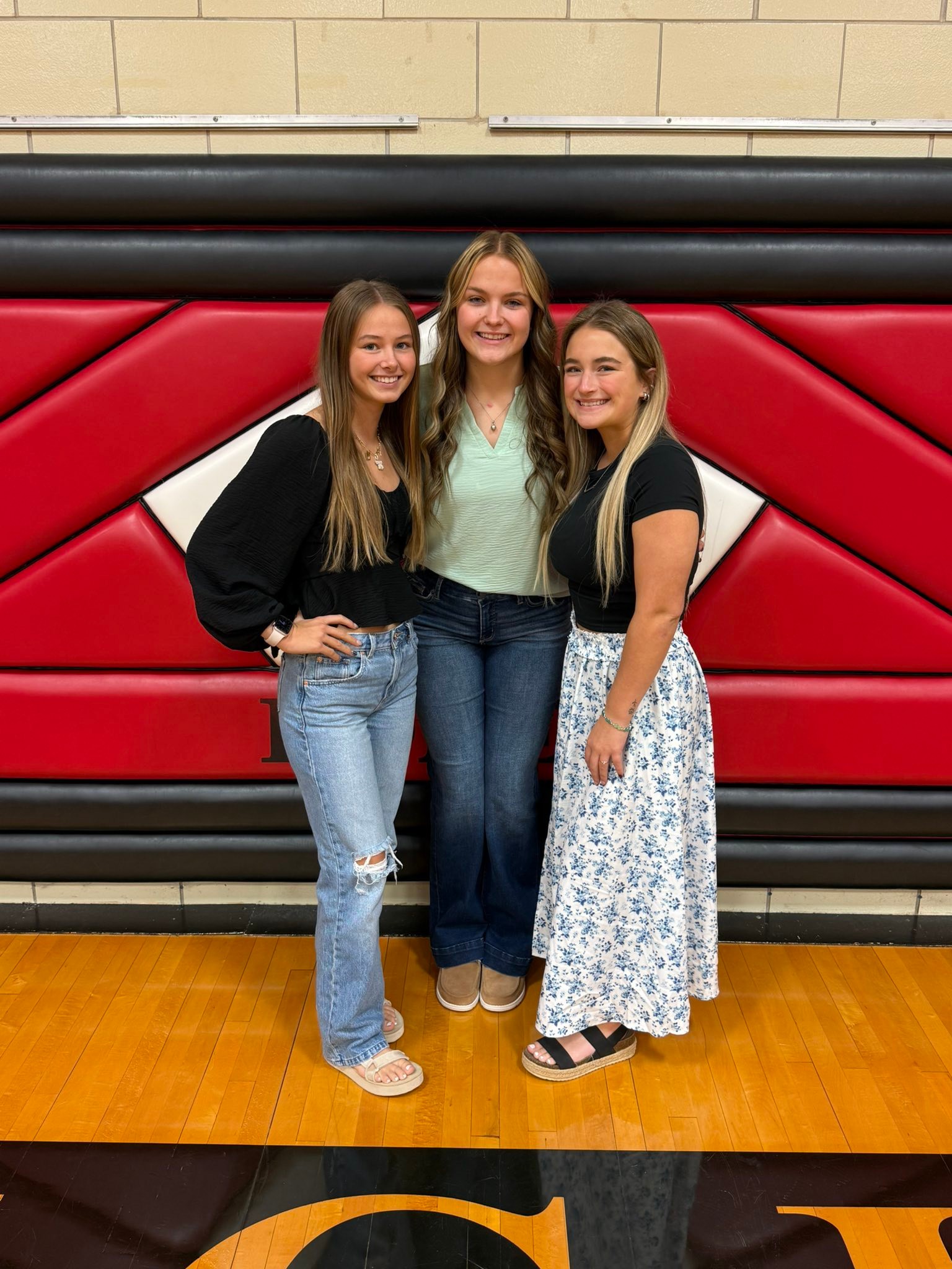 Homer Lady Knights... - Homer Lady Knights Volleyball