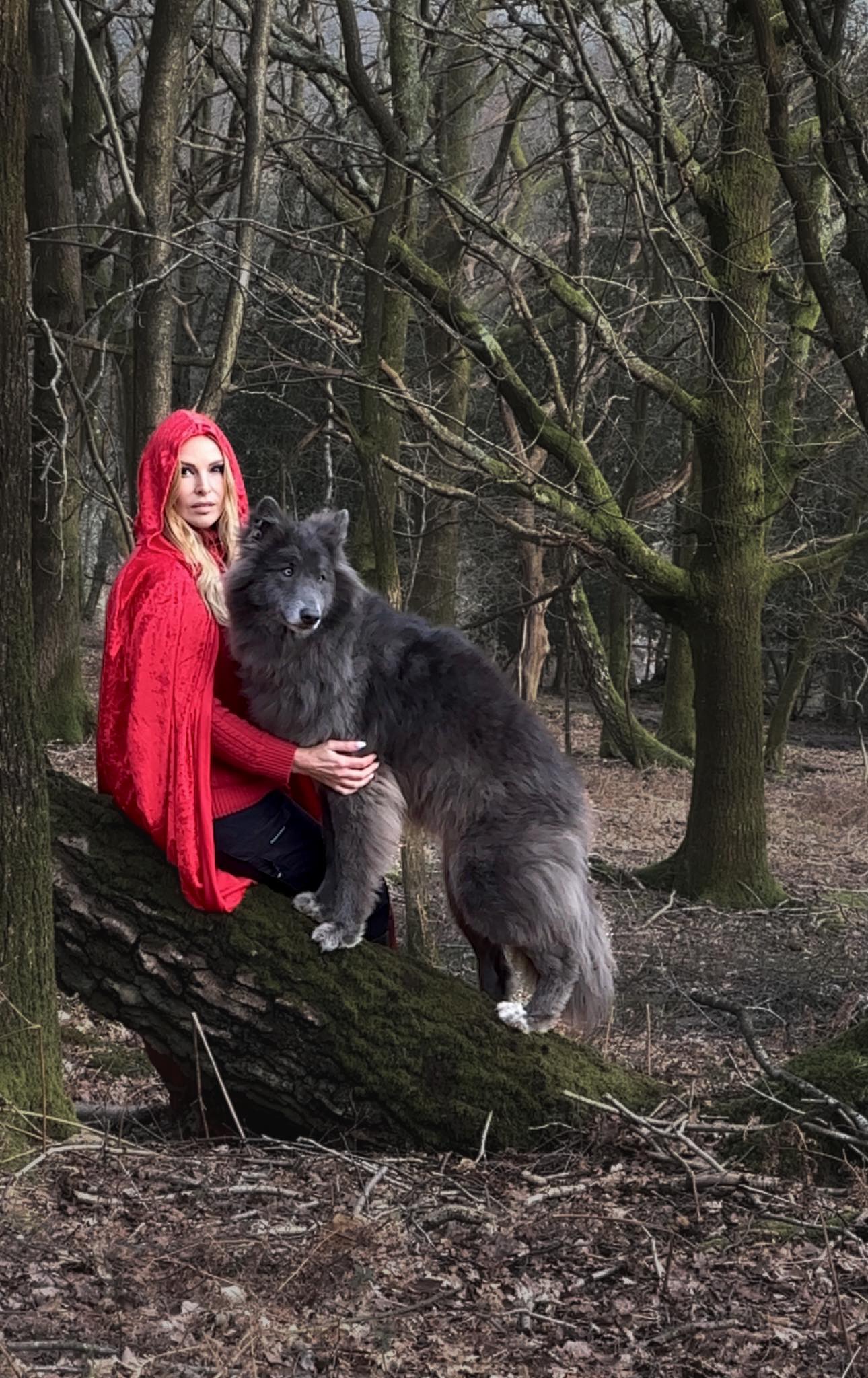 Anneka - I filmed this on location in the Ashdown Forest exactly where ...