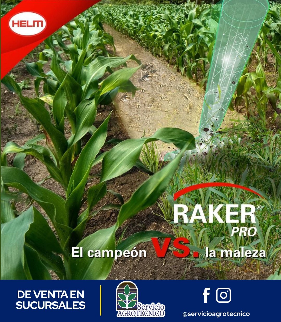 Servicio - RAKER® PRO es un herbicida selectivo para el cultivo del ...