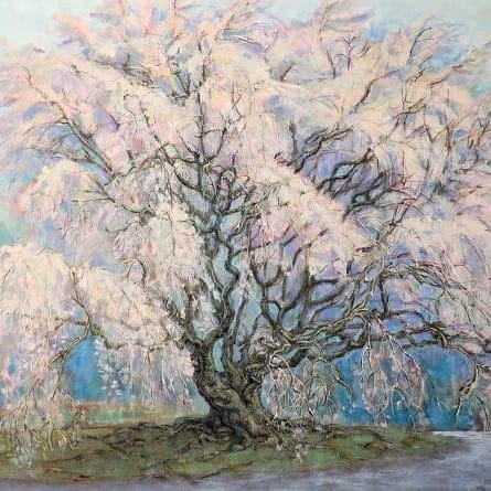 宮崎毅