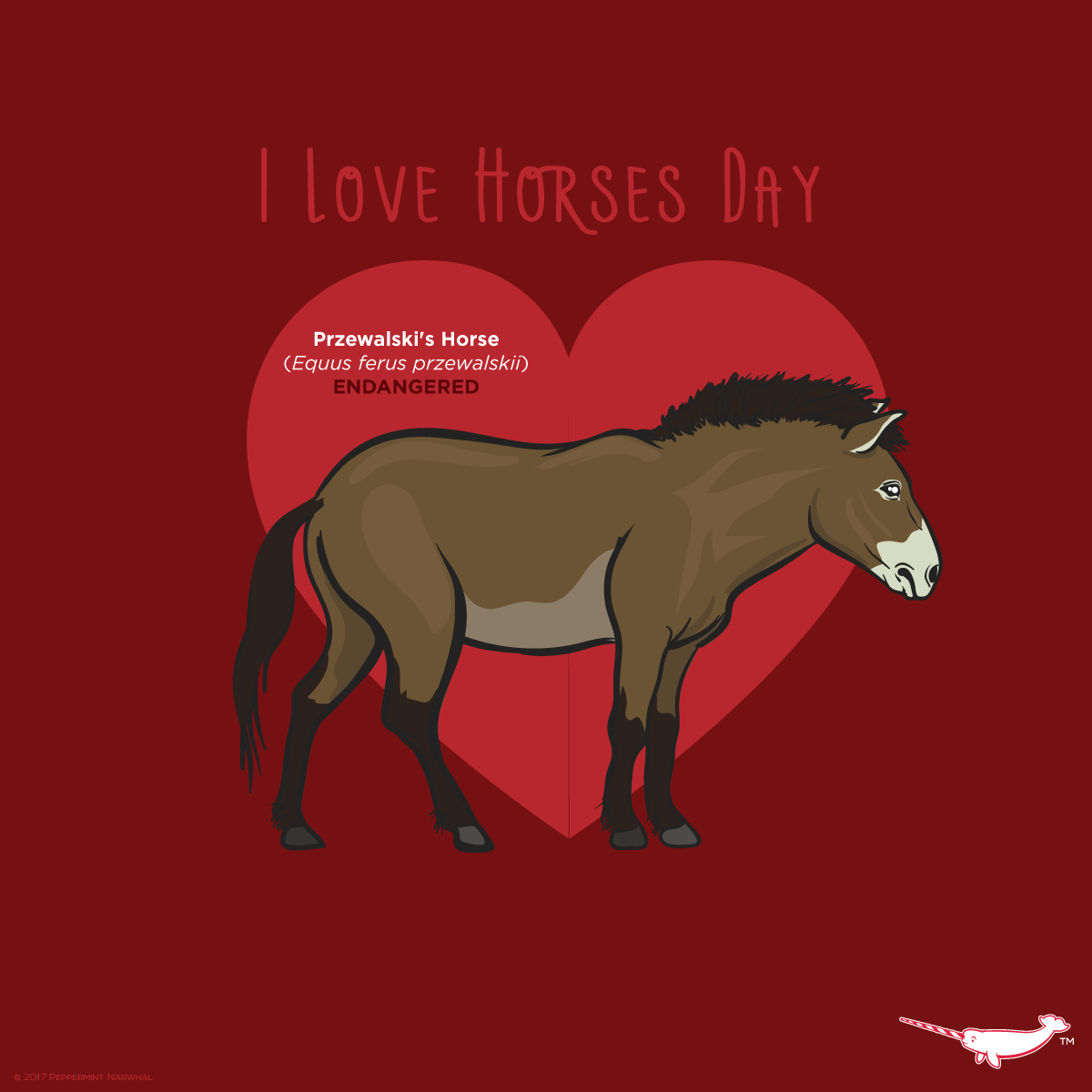 peppermint-july-15-is-i-love-horses-day-what-is-your-favorite