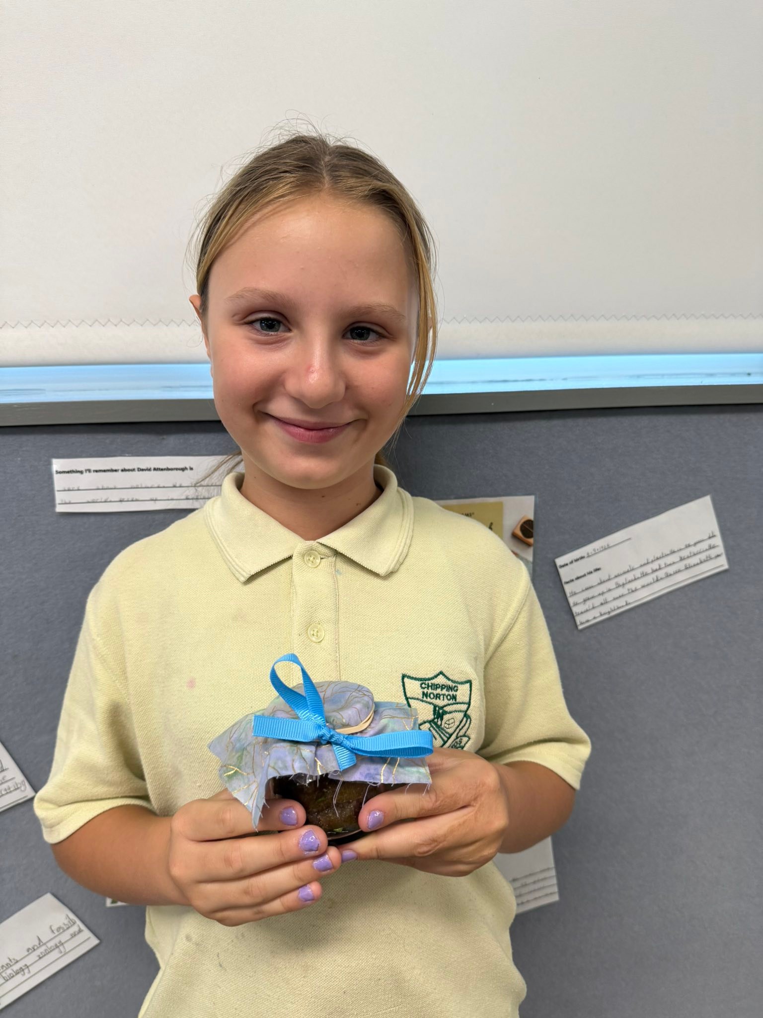 Chipping Norton Public... - Chipping Norton Public School