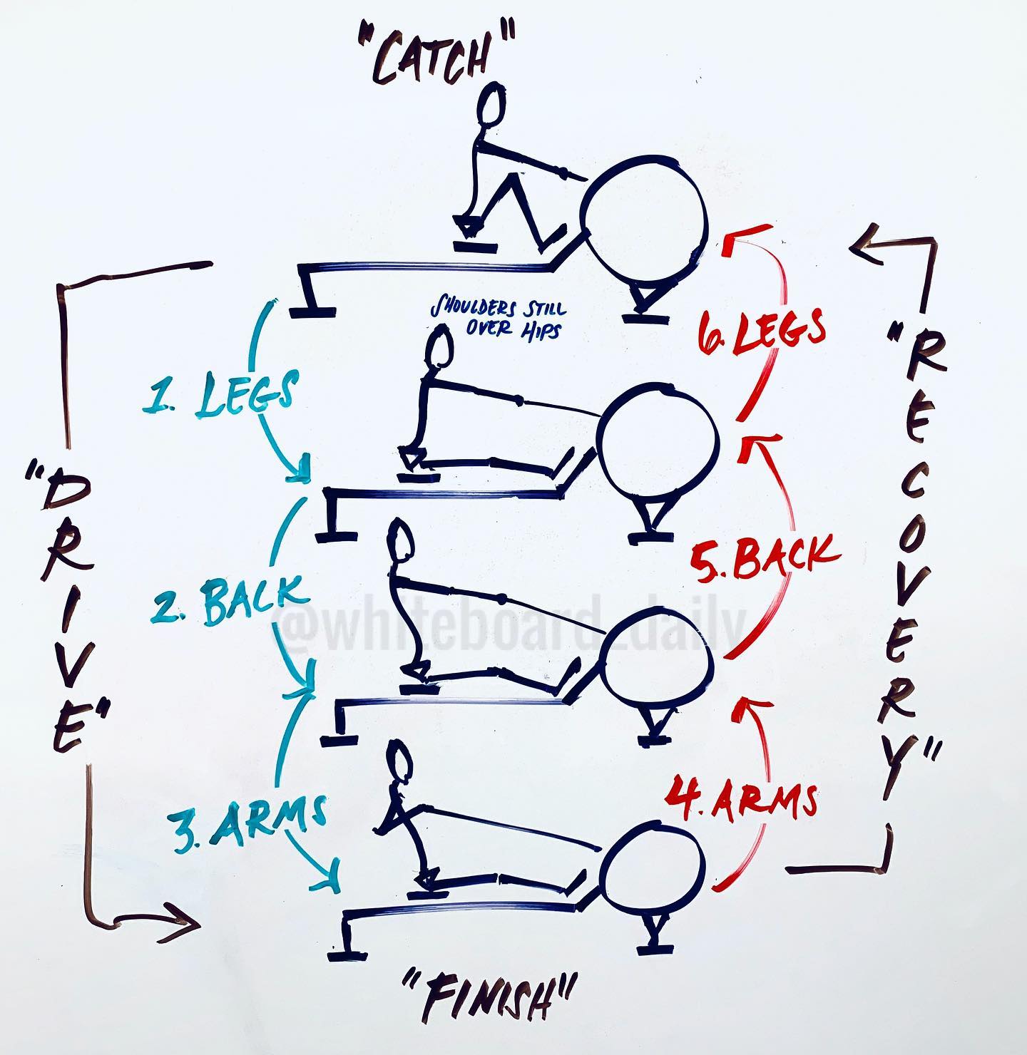 | MOVEMENT LIBRARY | . “Rowing” - on... - Whiteboard Daily