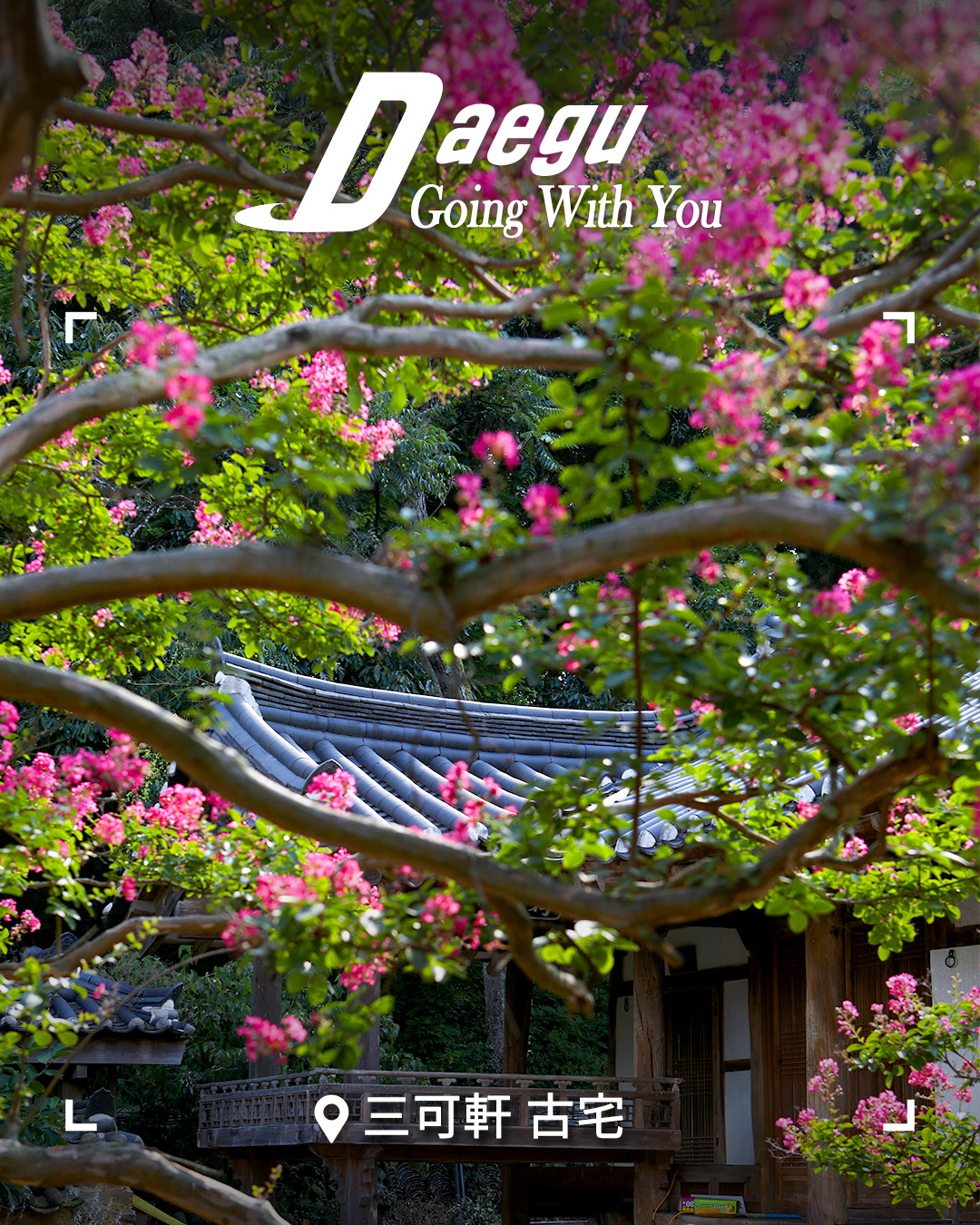 韓国の中心「大邱」 | Daegu