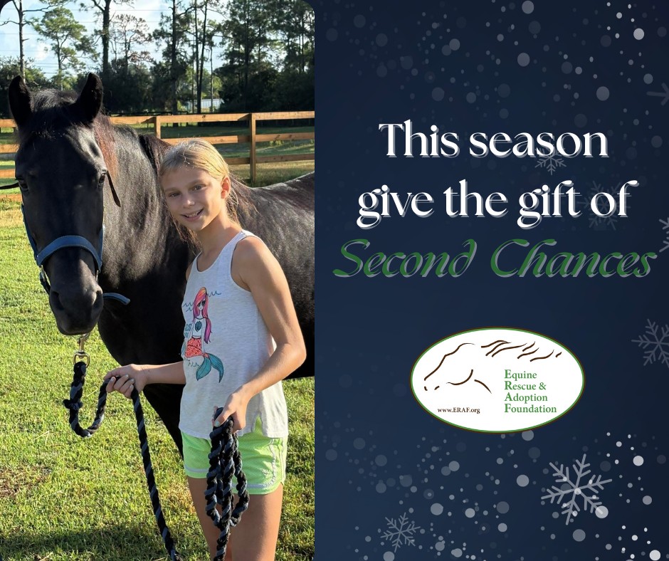 ERAF -... - ERAF - Equine Rescue and Adoption Foundation