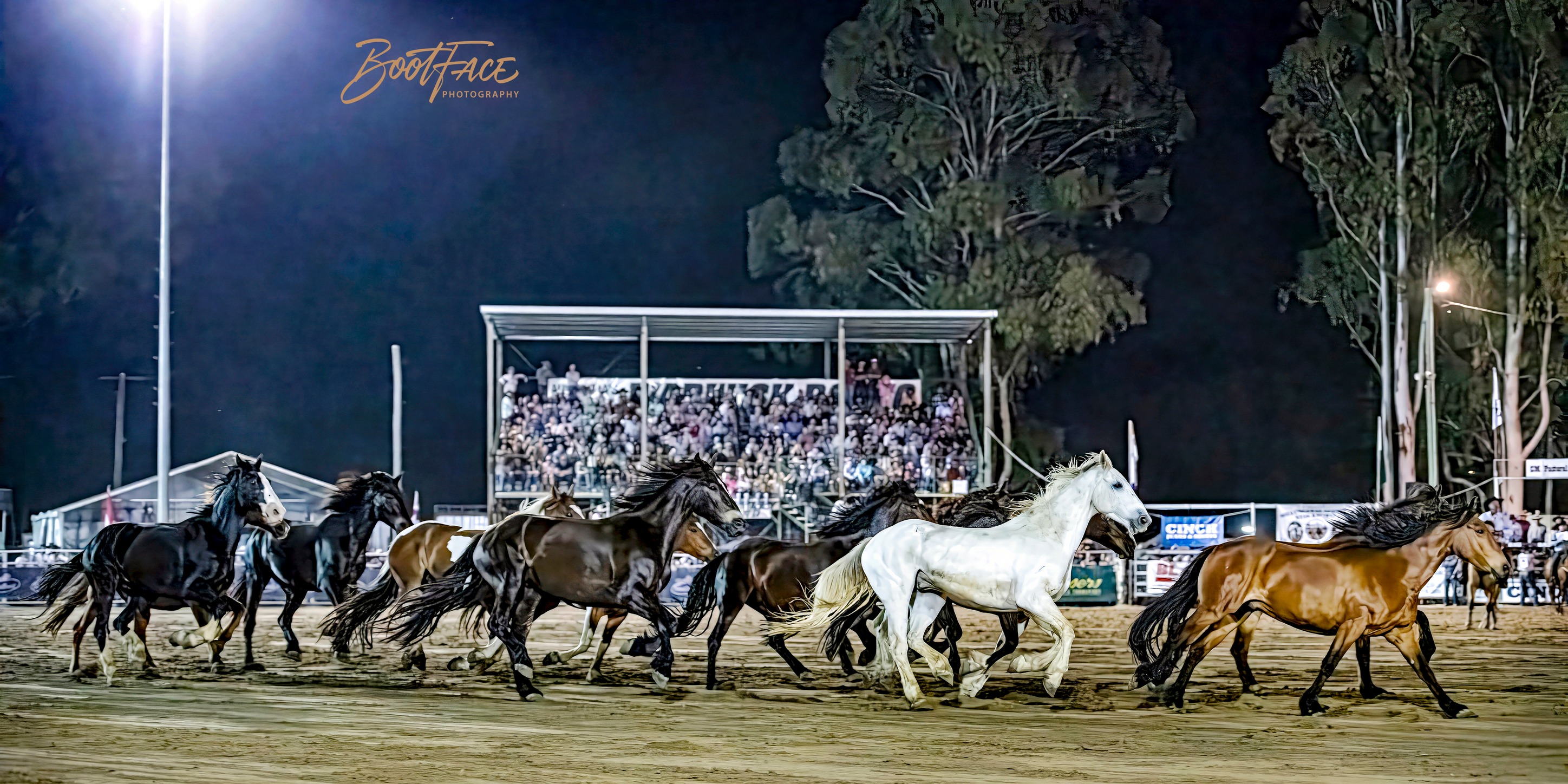 Gill Bros Rodeo | Upper Horton NSW