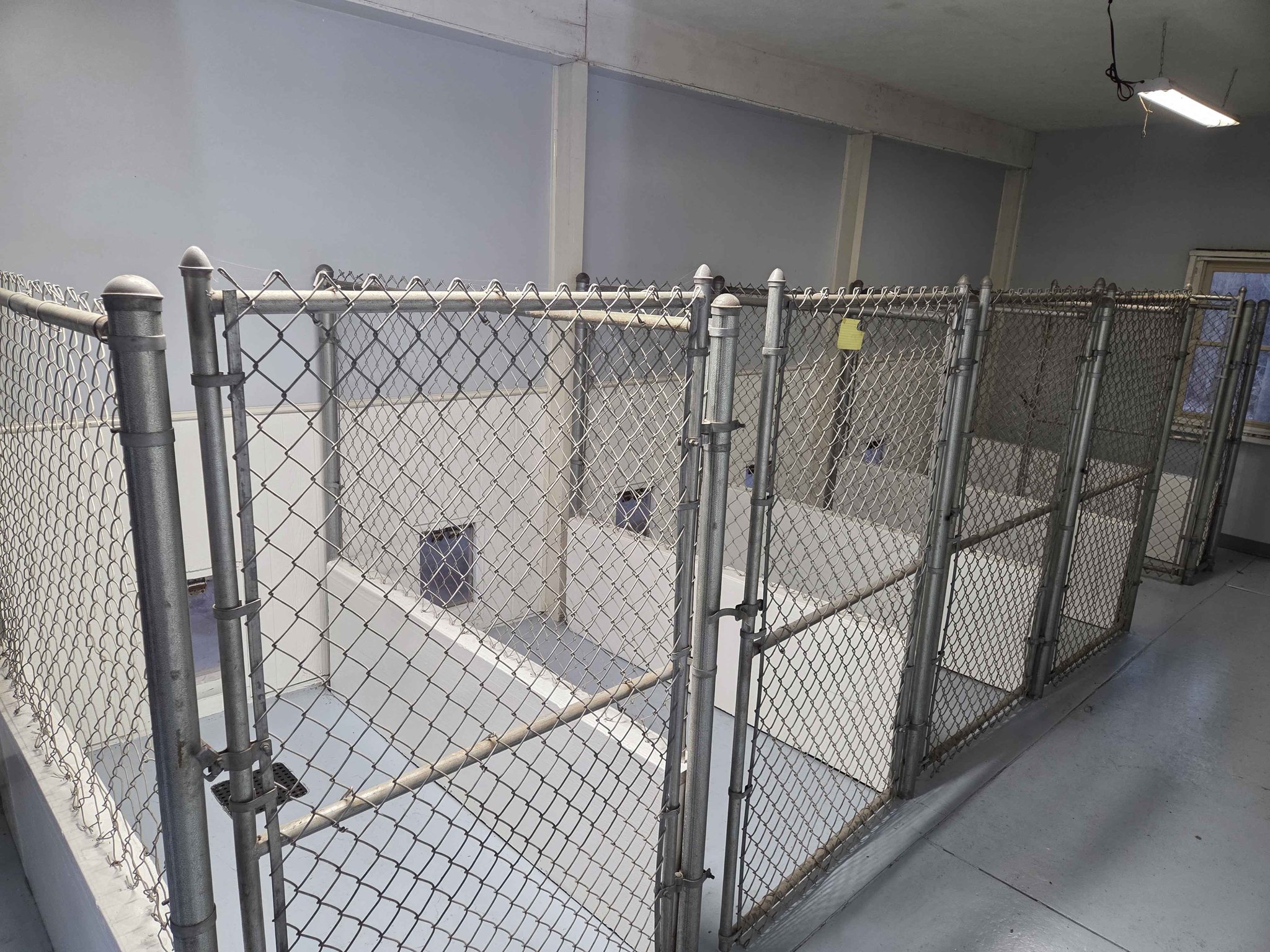 Commercial Heavy-Duty Dog Kennel Runs – 5 Runs / 10 Gates / Dog Doors