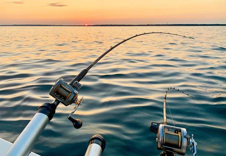 clear plastic cups with fish lure inside Fishing Lures Tumbler Cup Handle Sea Side Aquatics Wooden Cups are 9 FL Power (Action):Medium (Fast) #SpinningReels