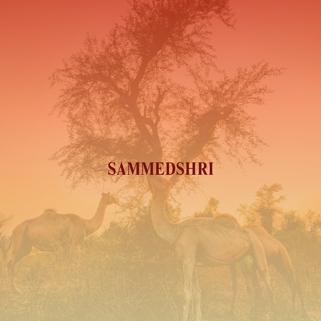 Sammed shri | Jaipur