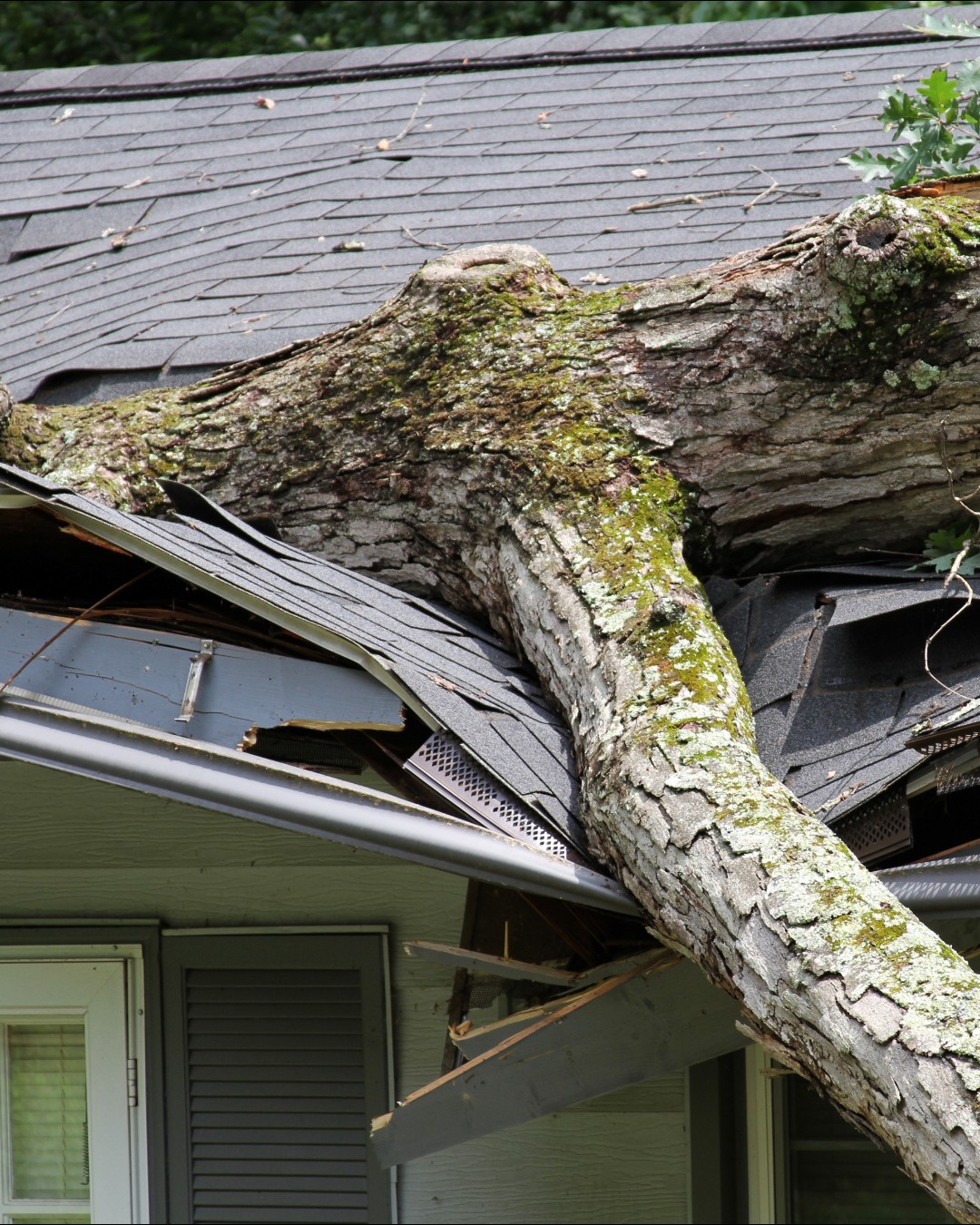 Blue - MYTH BUSTED: 'Insurance won't cover my roof damage.' The truth ...