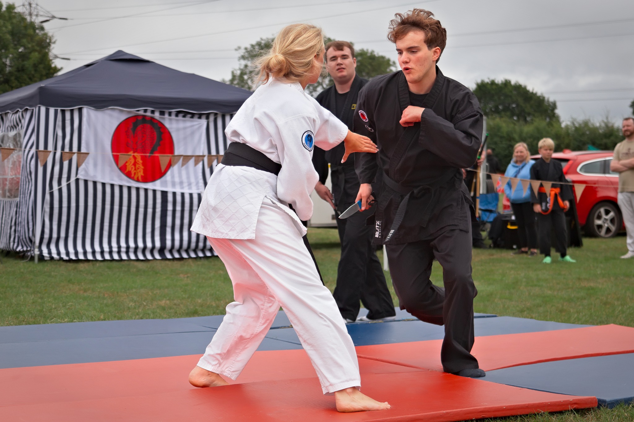 Hampshire Taiho Jutsu