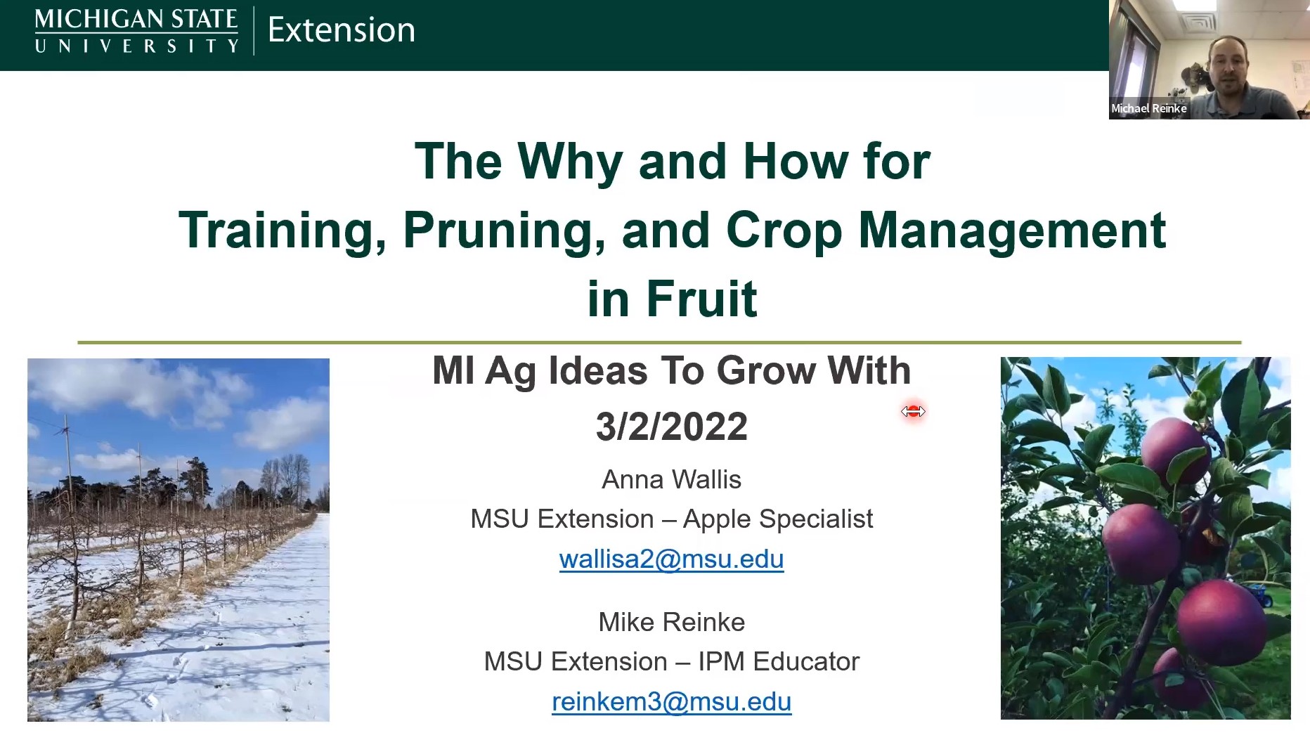 How to Prune Fruit Trees in Winter