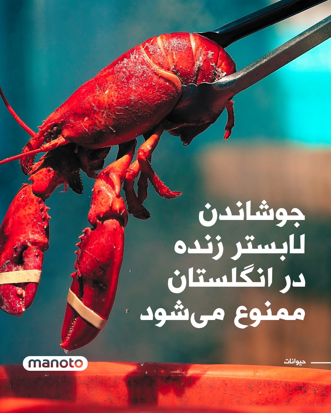 تلویزیون منوتو - دولت بریتانیا اعلام کرد در چارچوب اصلاحات... | Facebook