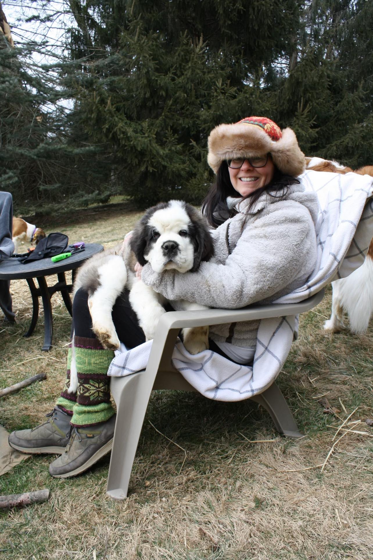 Sunny Saints Southern California St Bernard Rescue