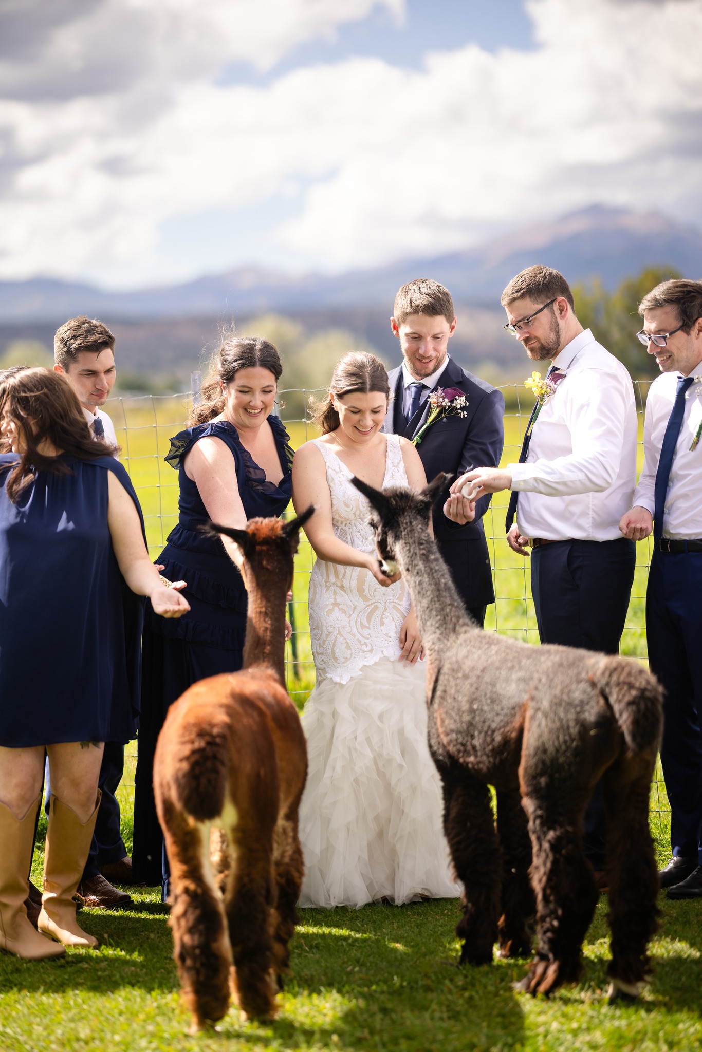 Settings Event Rental added a new... - Settings Event Rental
