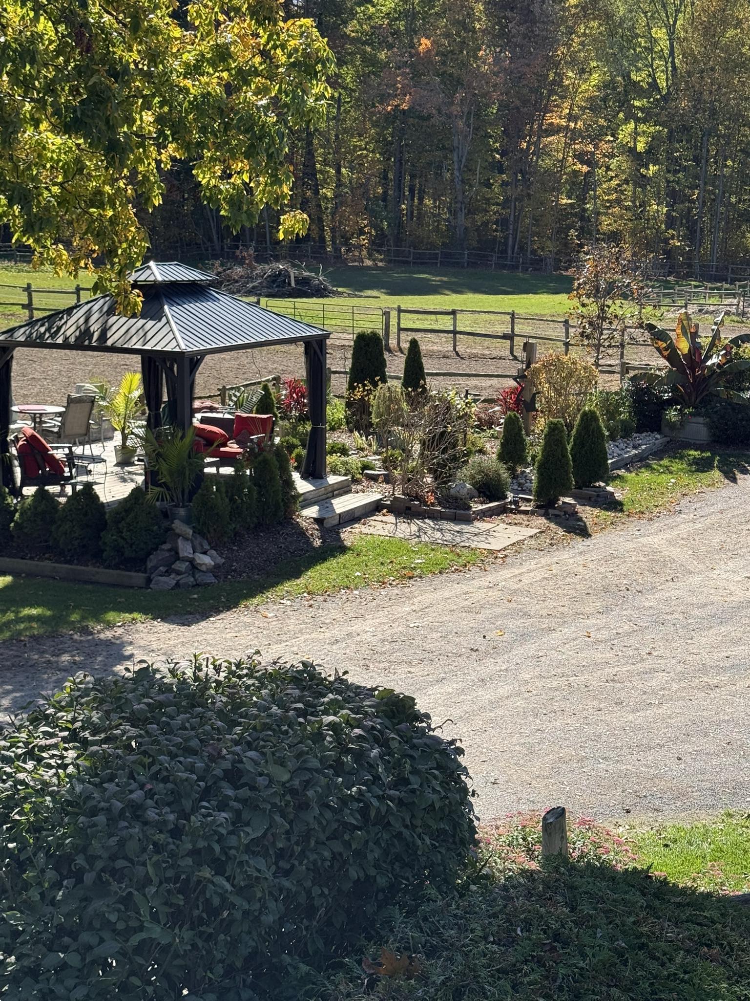 Carousel Stables added a new photo — at... - Carousel Stables
