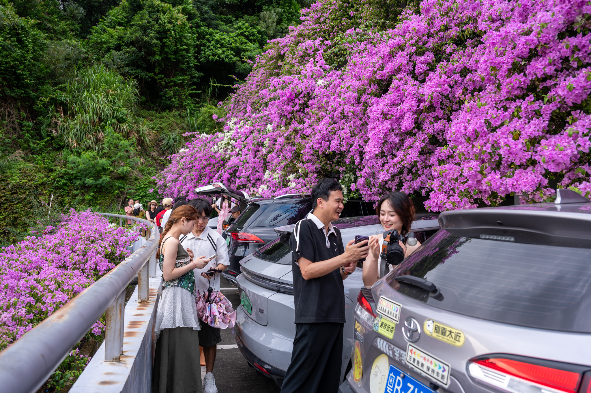【初版】フラワータウンスケーピング = FLOWER TOWN SCAPING Need a parking spot? Good luck finding one like this in Shenzhen