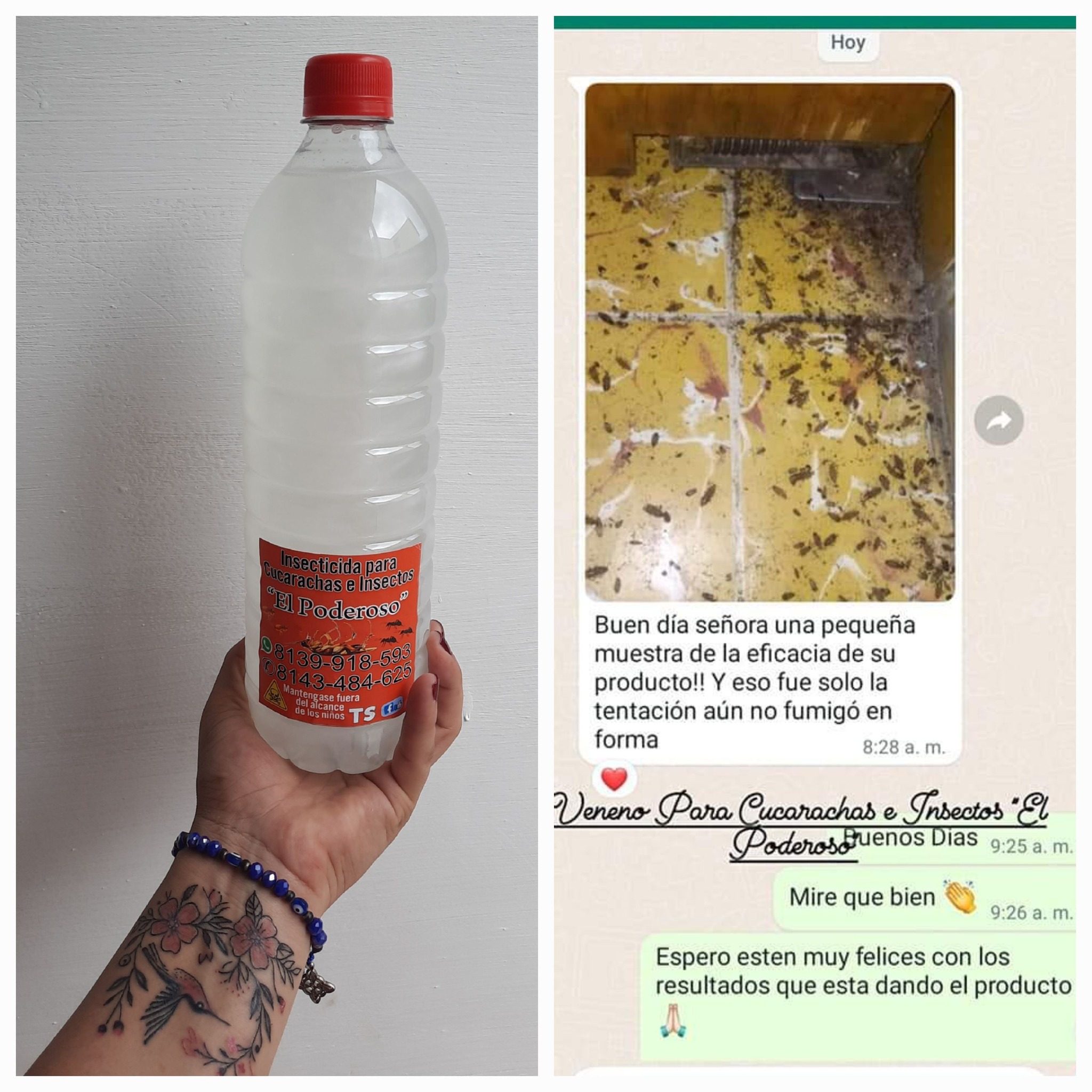 Insecticida Para Cucarachas e Insectos 