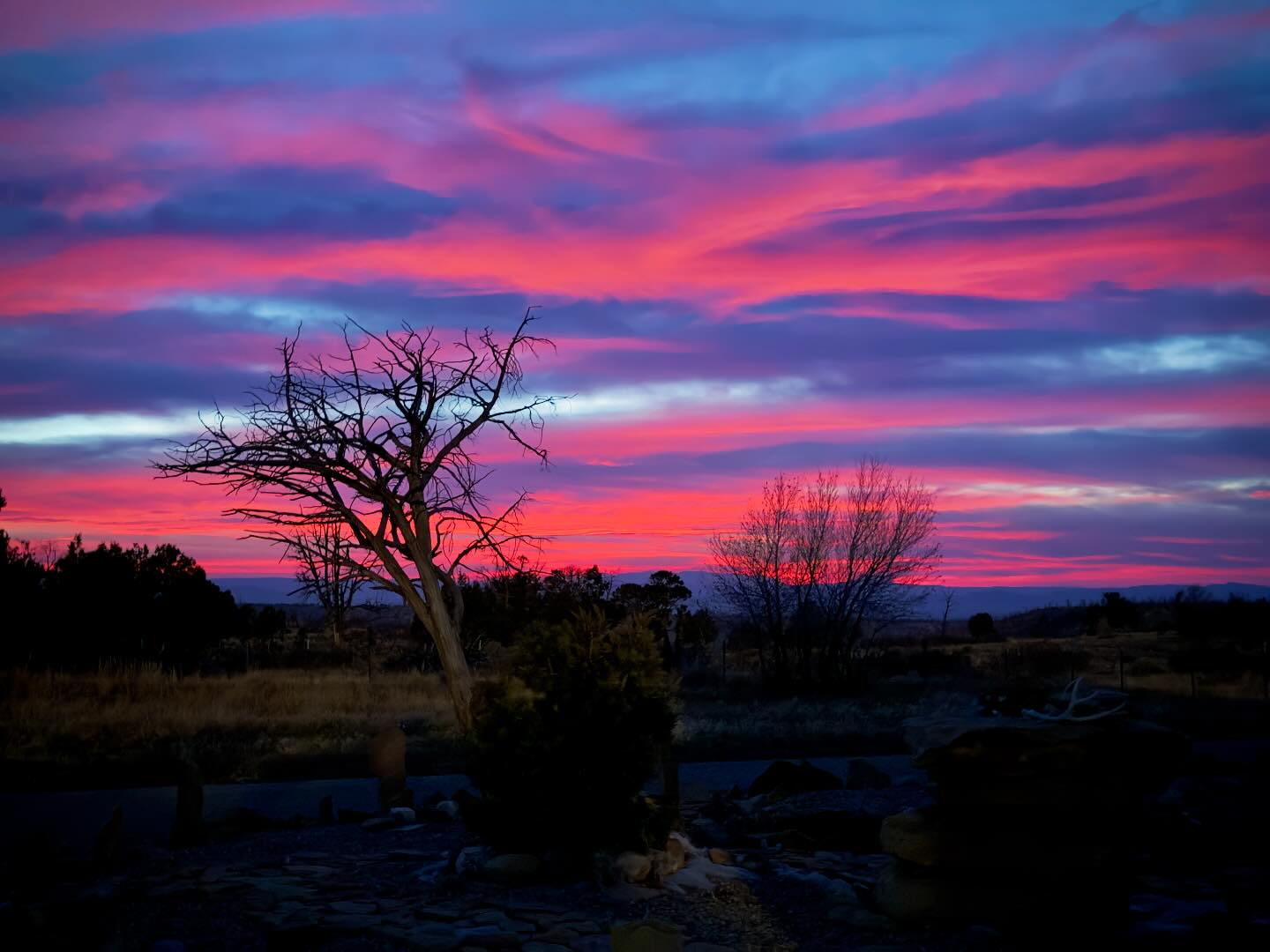 Bray Ranches | Redvale CO