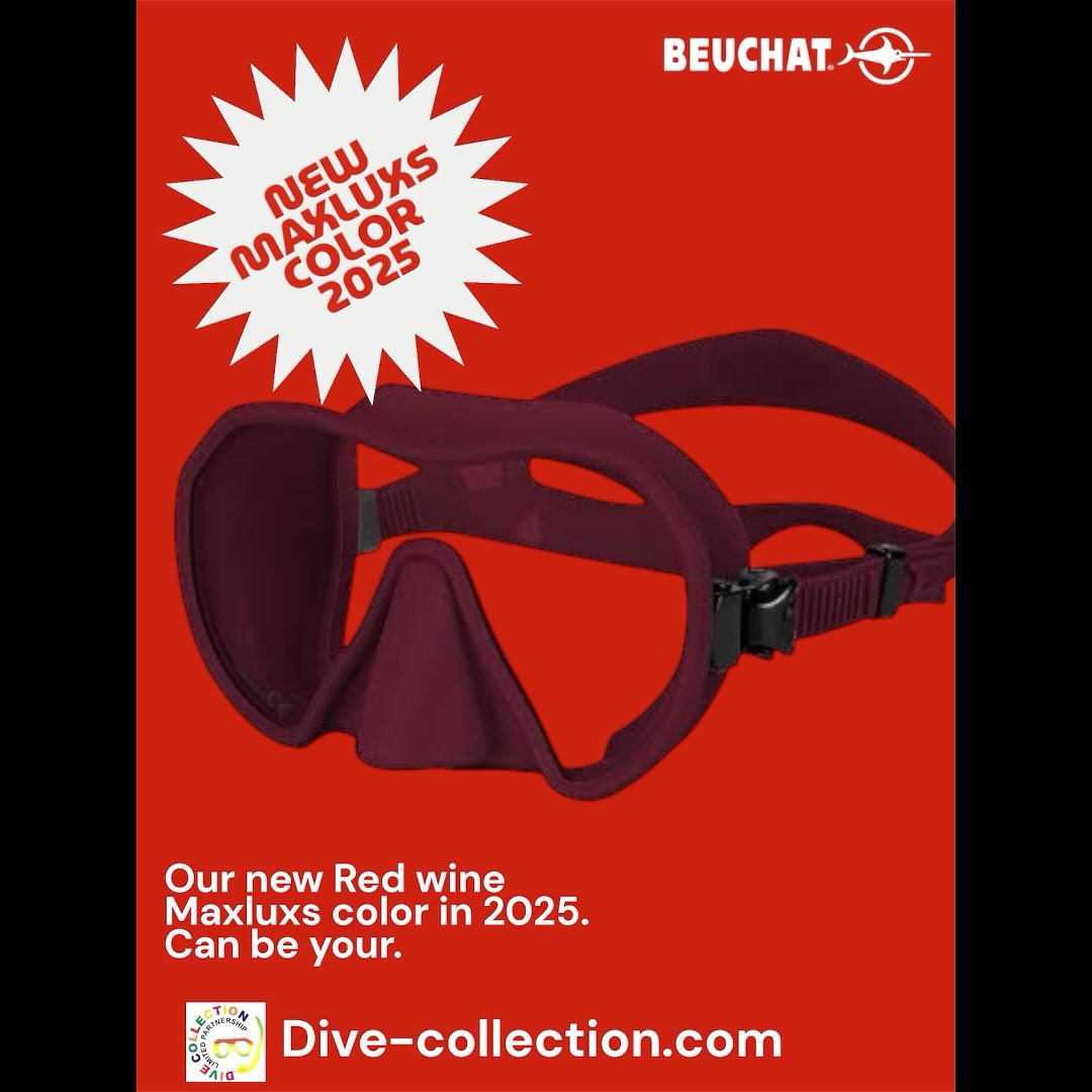 Divecollection - 📣 The cat-eye shape became a symbol of... | Facebook